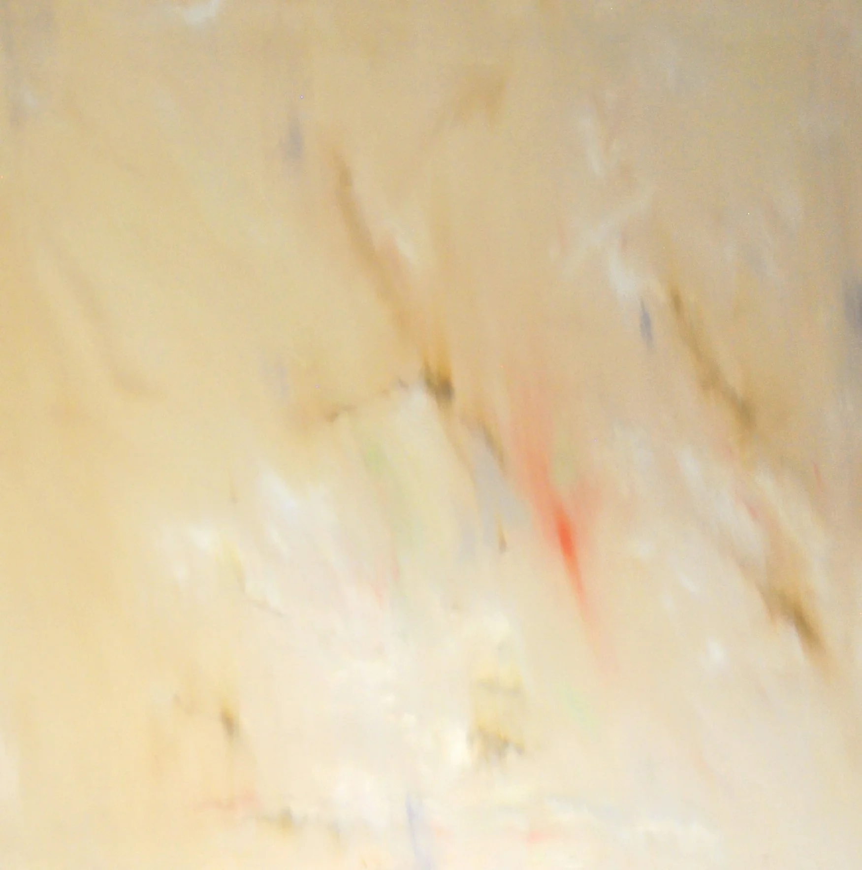 Sudden harmony - _Paula Cabral.jpg