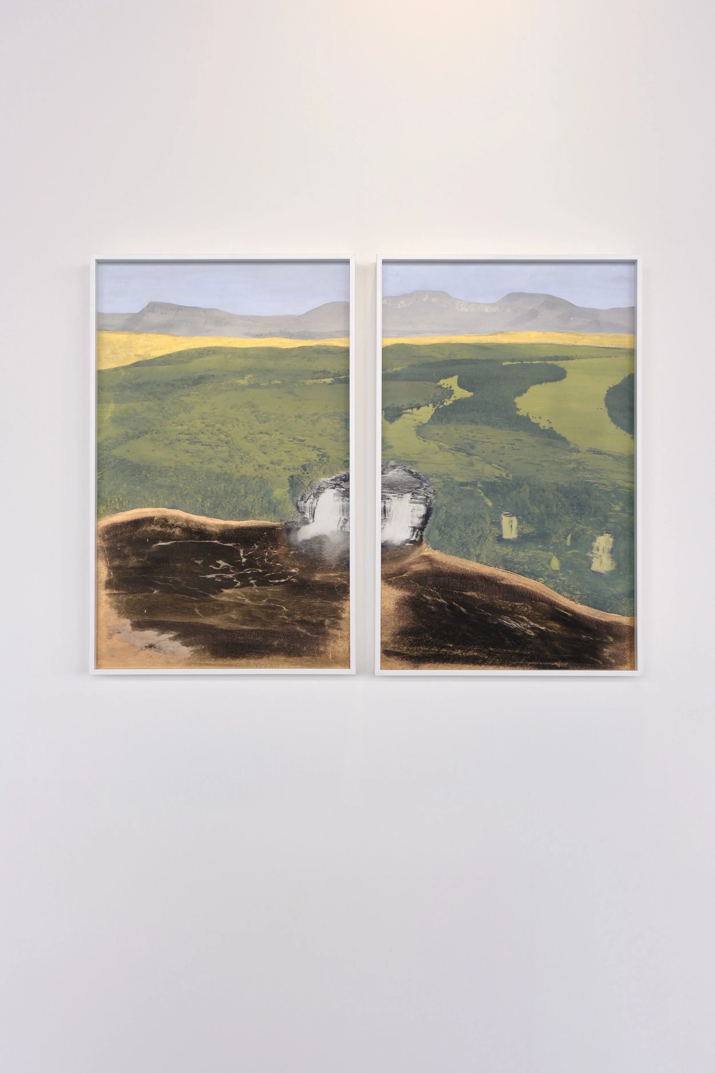 Suwon Lee // Canaima (Diptych), 2025 // Oil pigment stick and medium on pigmented inkjet print mounted on Didond // 75 x 60 cm ( 2 works each of 37.7 x 60) // Edition 3 + 1 AP 