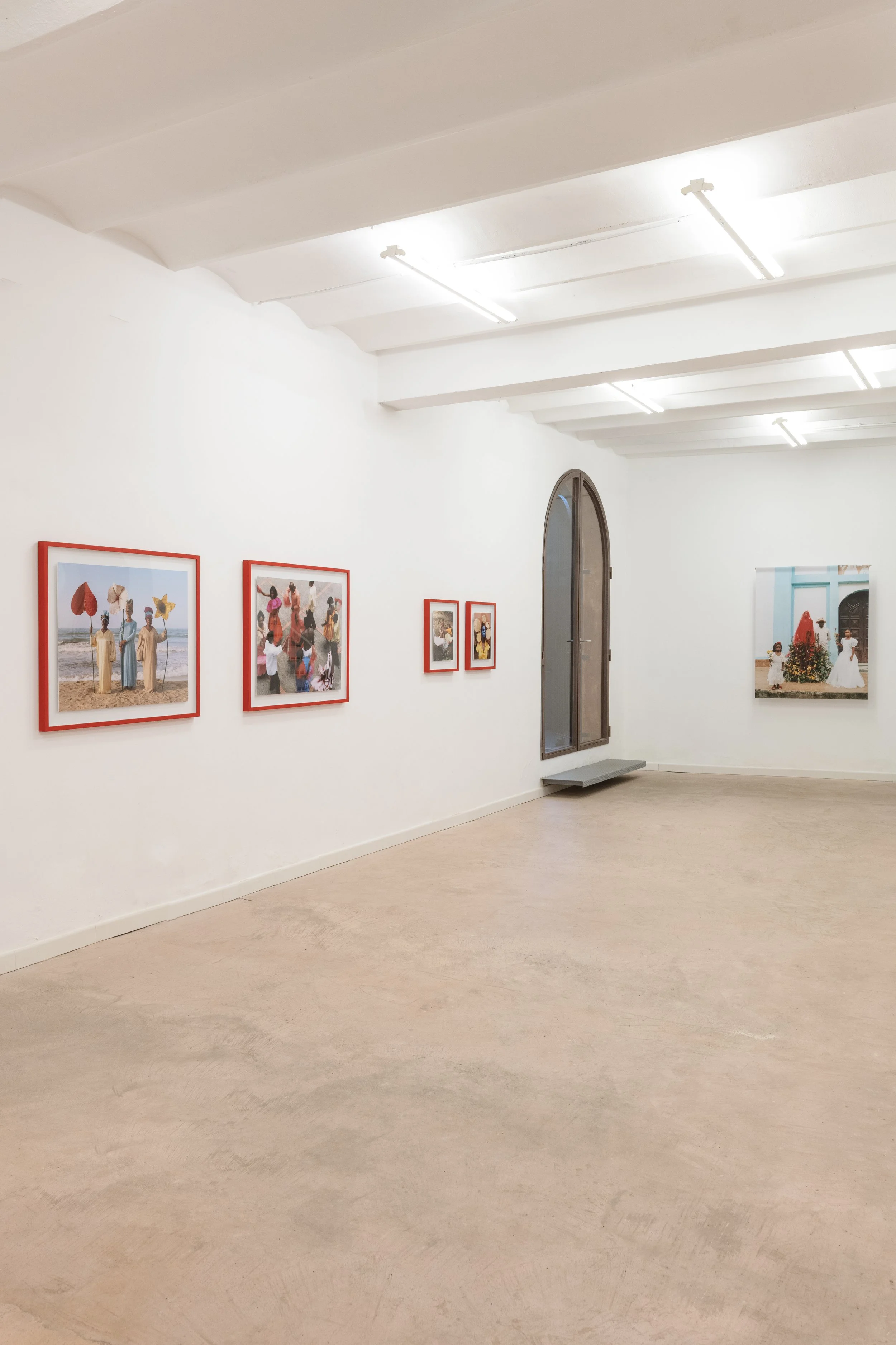 DSC_8418 copia_alta.jpg