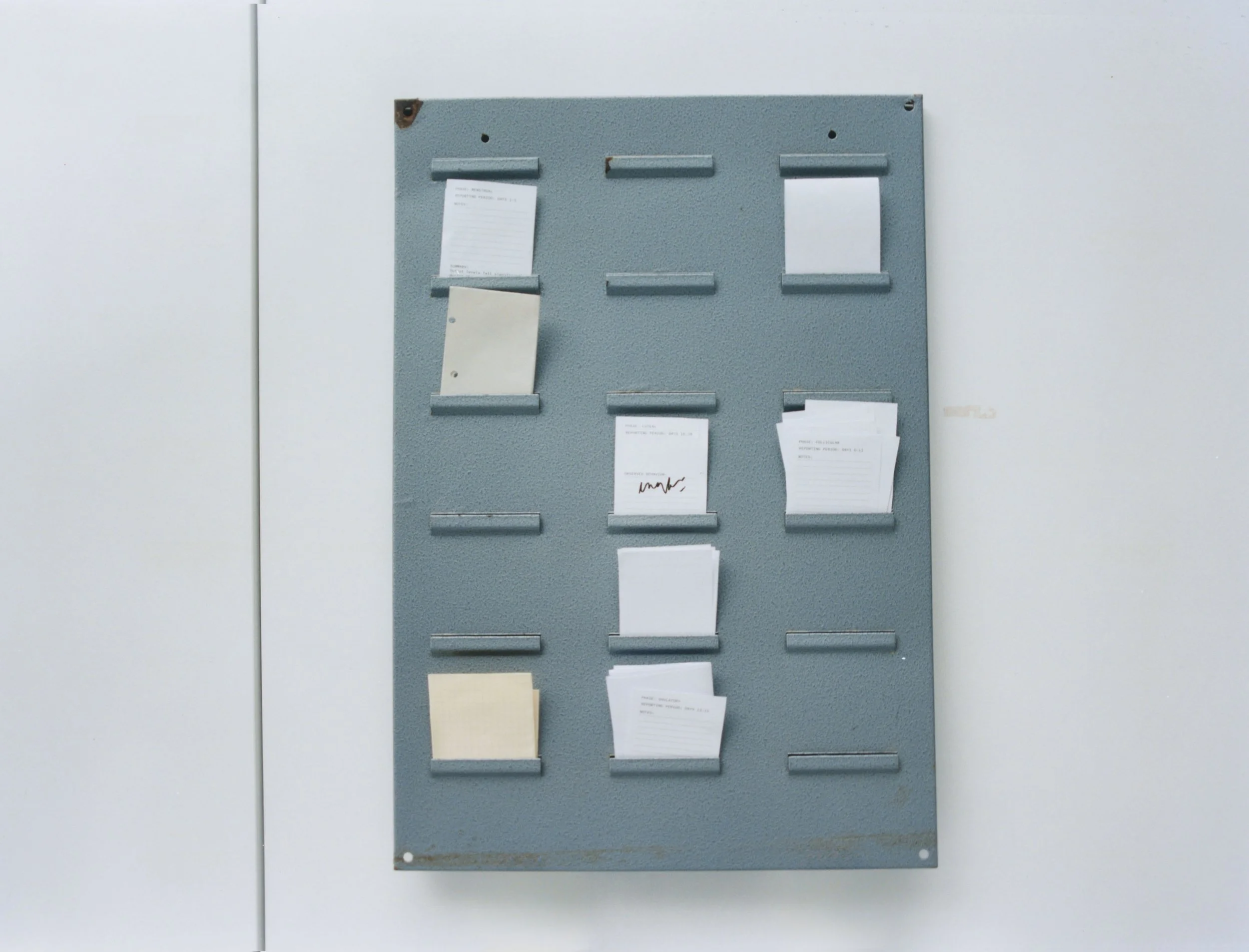 Mechanics of a Female Body VIII, 2025 // Hahnemühle Photo RAG Pearl 320 gr // 55 x 41 cm, Edition 1/7