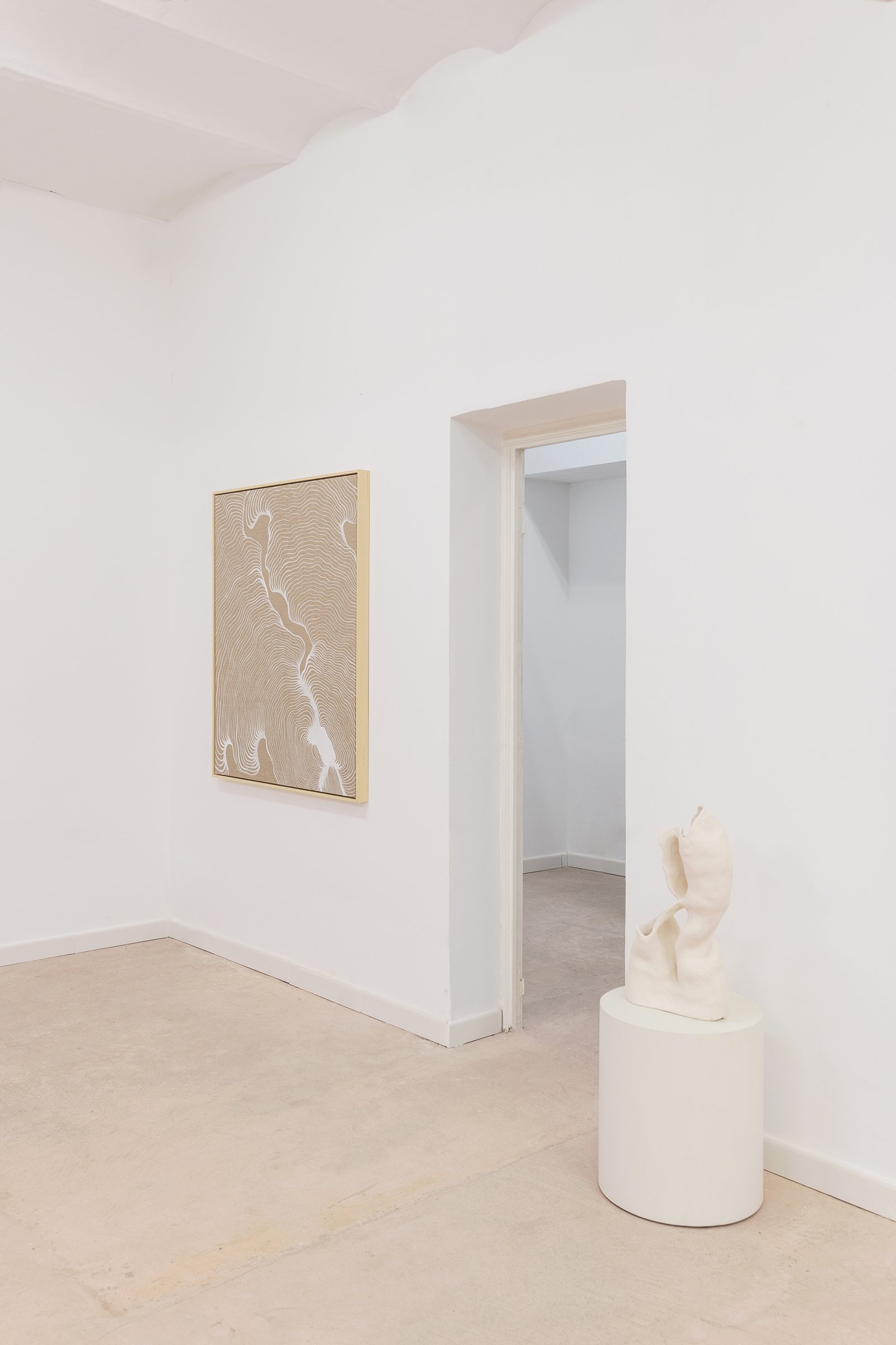 Impressions of Antonela Aiassa's artworks at "Florecemos en un abismo" exhibition