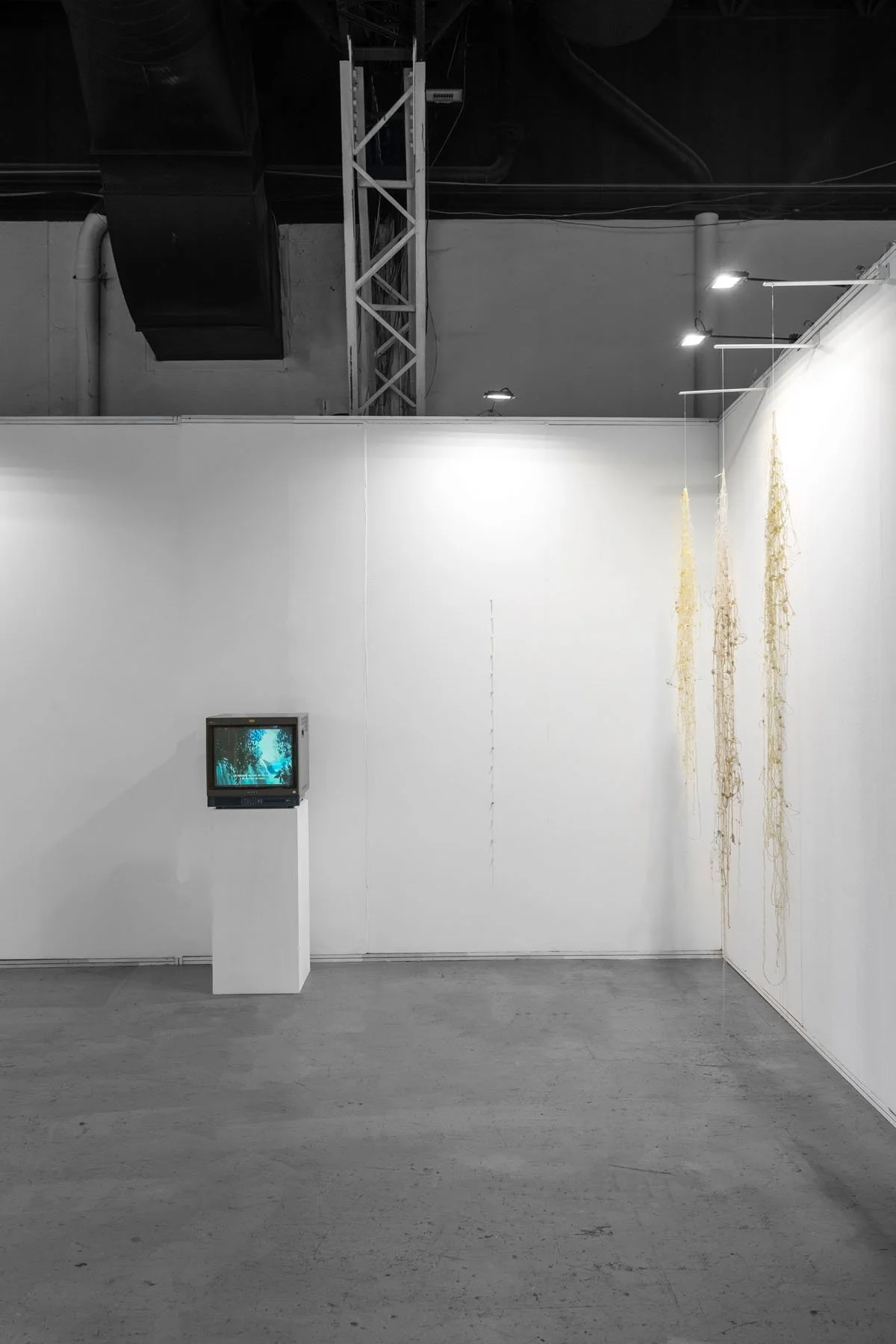 SorondoArteBA_PHFotografiaDeObra_web007.jpg