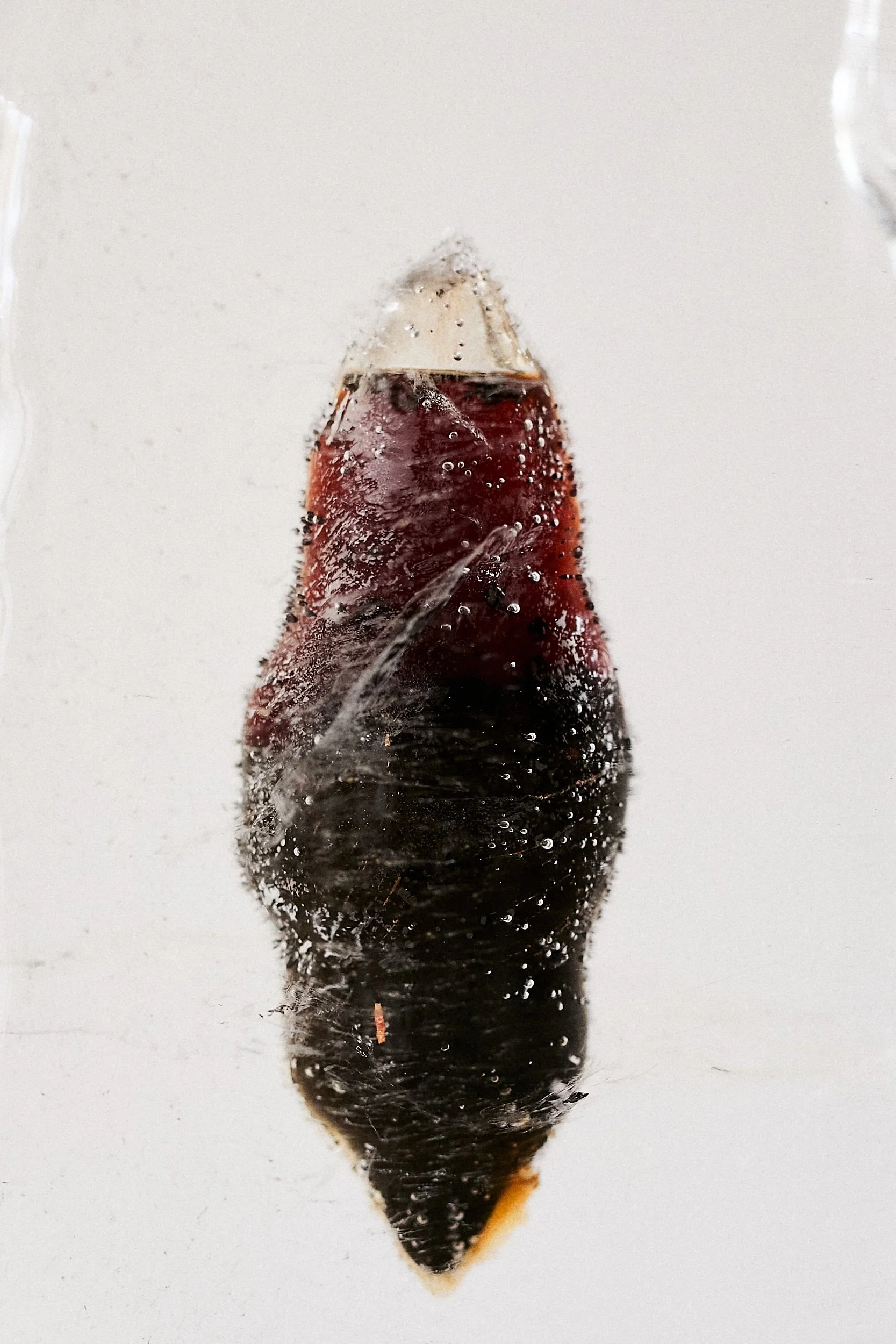 Aiassa Studio_0126.jpg