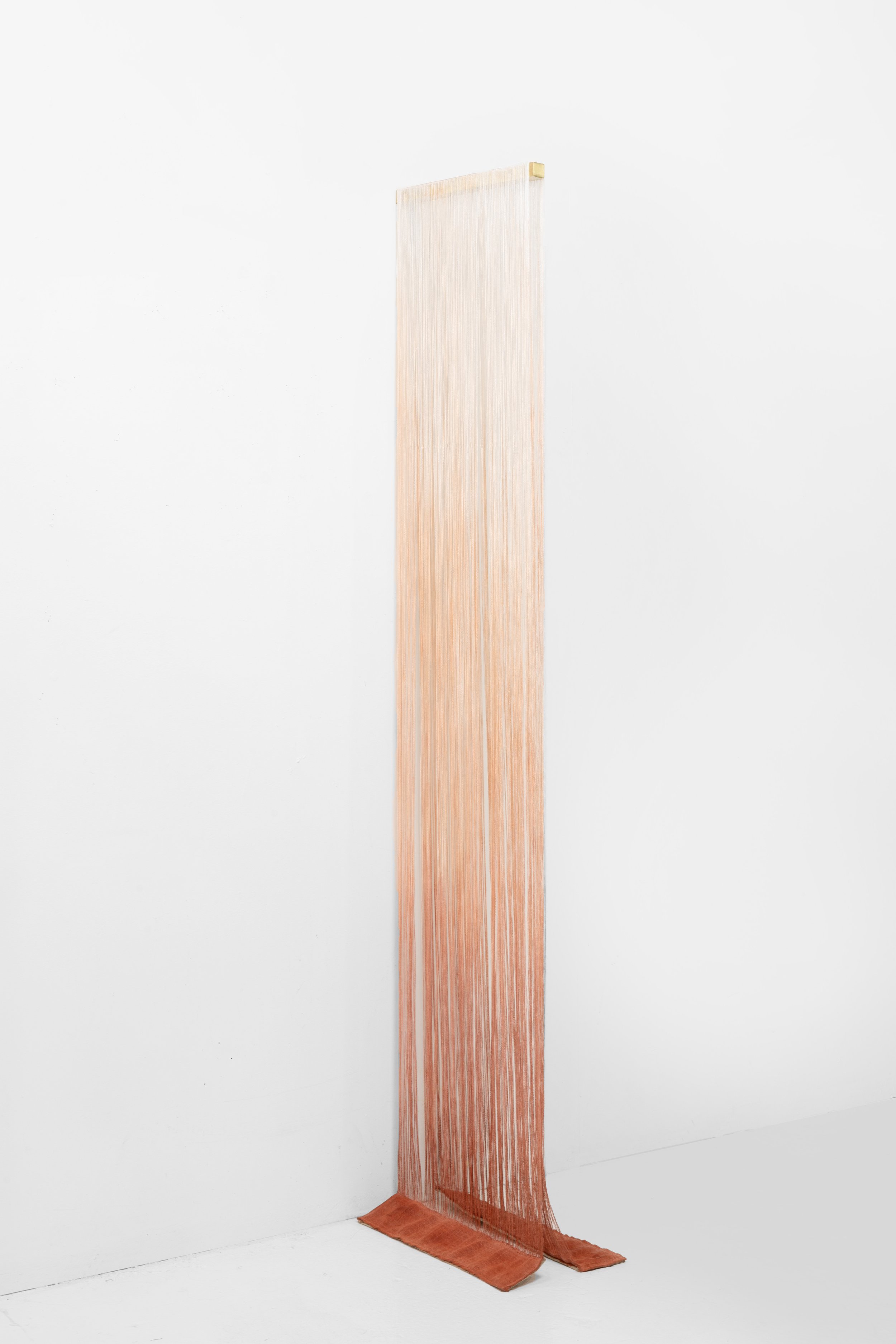 156A5040.jpg