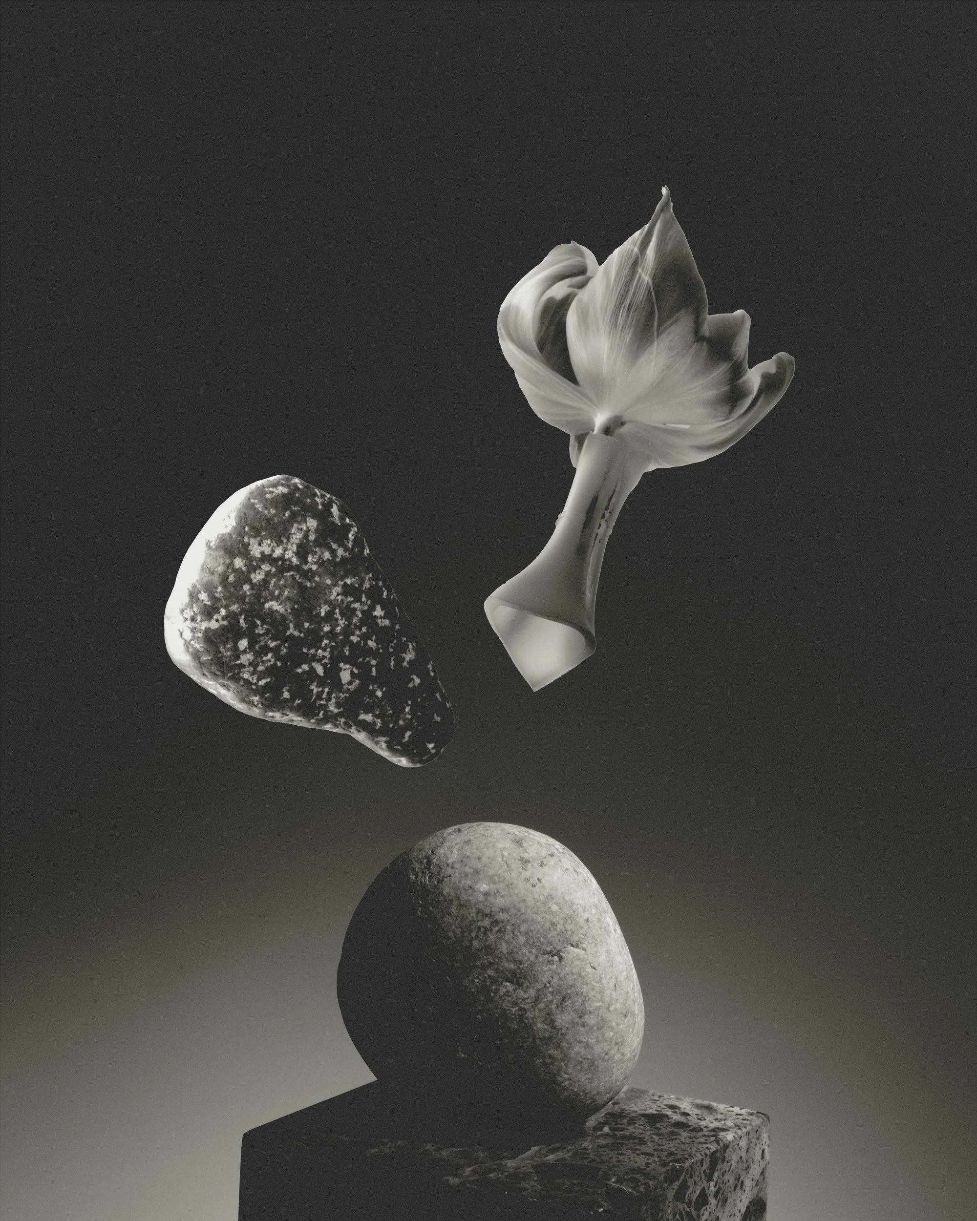 Vacio, 2025 // Hahnemühle photo rag baryta paper // 90 x 67