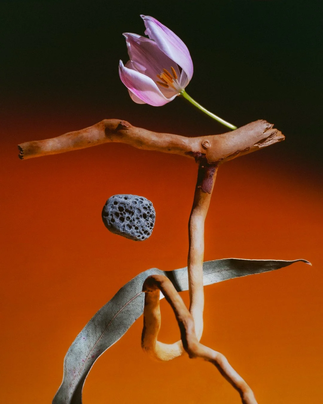 Daniel Santonolo // Simpatía, Conexión // Photo Rag Baryta paper // Edition of 10 // 30 x 20 cm