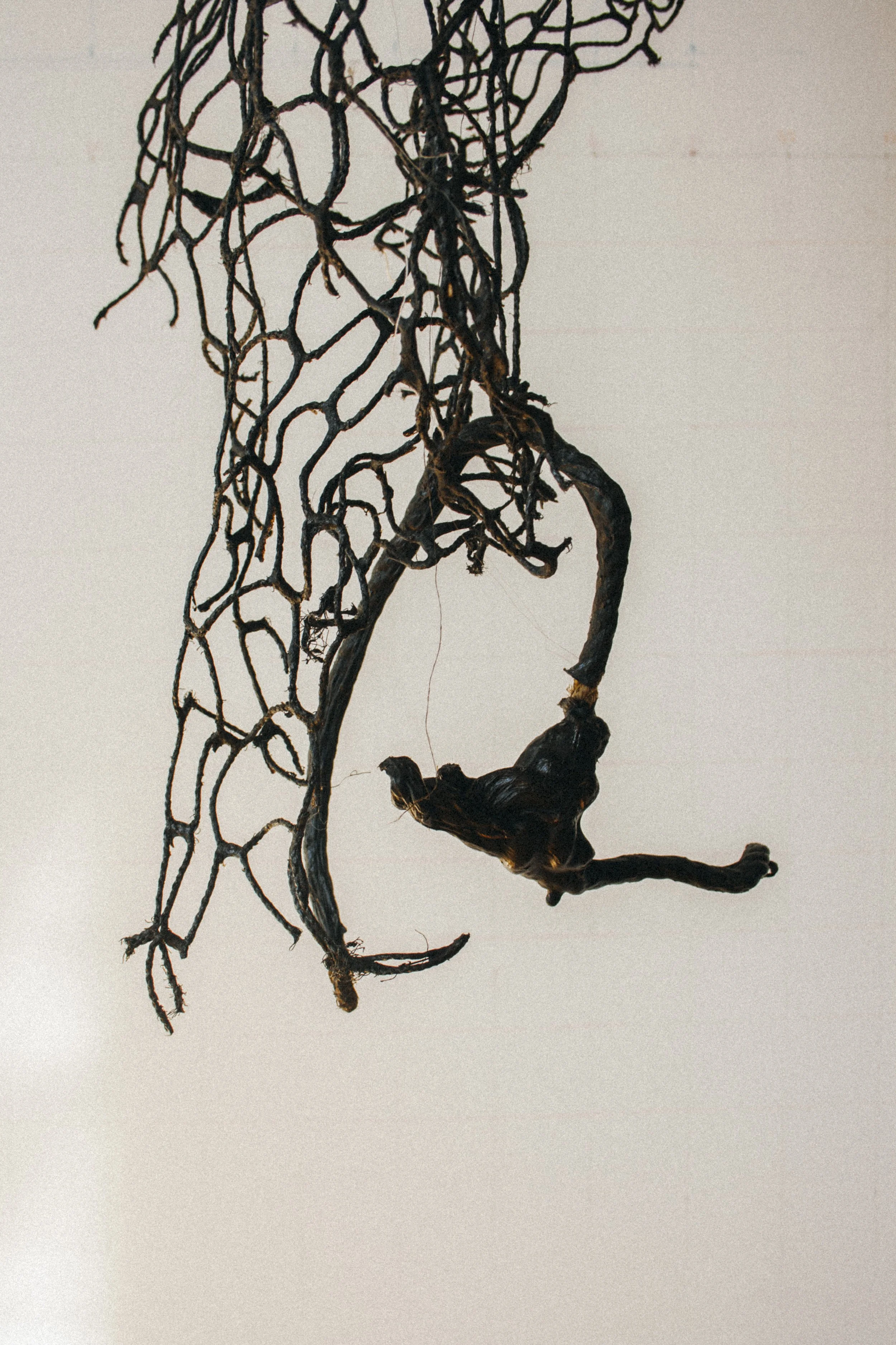 María Elena Pombo // Details of Carlitos, 2024