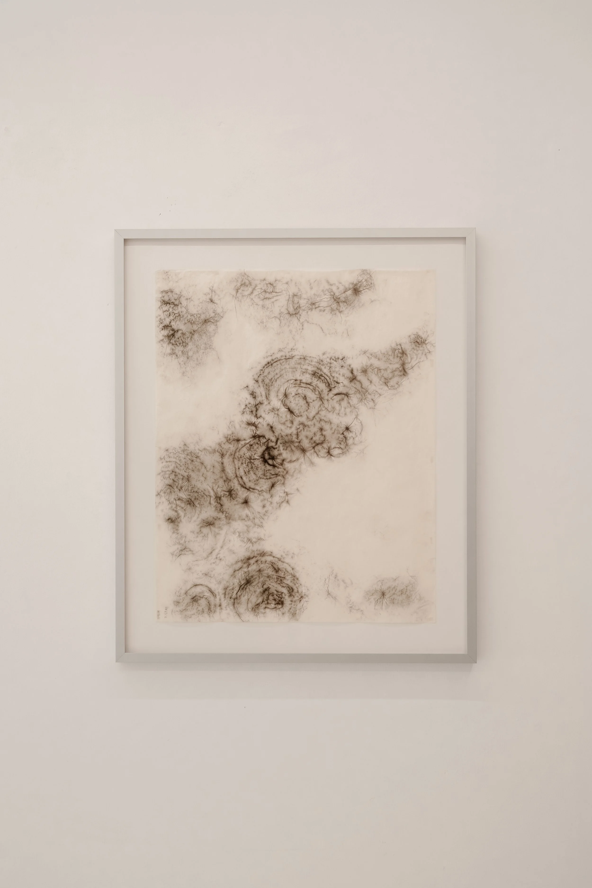 María Elena Pombo // Imprinting II, 2024 // Carbon frottage on paper // 75x62 cm