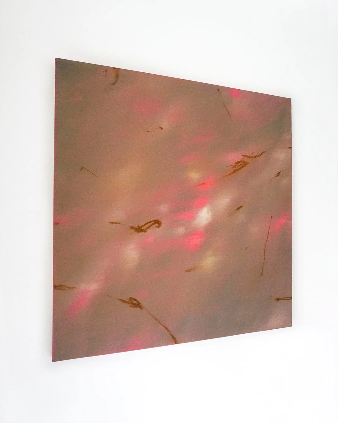 No Plan will do_Paula Cabral 2.jpg