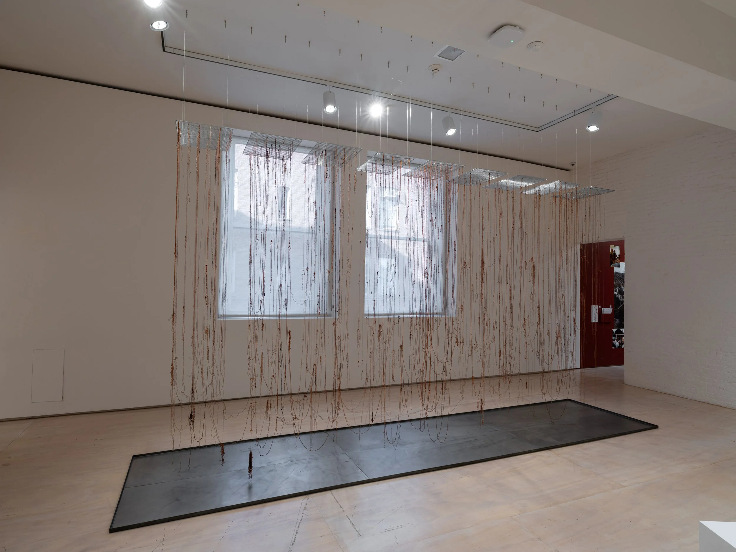 Impressions of Tejiendo el Guayabo at Greater New York exhibition at MoMA Ps 1