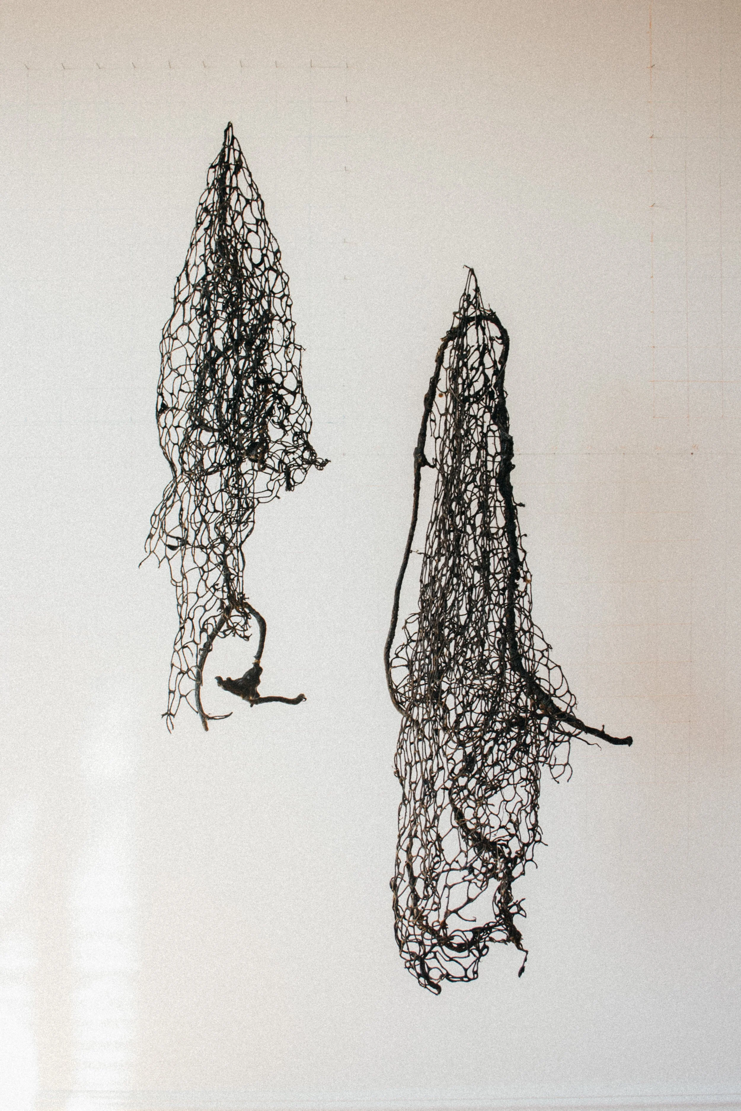 María Elena Pombo // Regulito y Carlitos, 2024 // Sculpture, Mixed Media, Nylon Fishing Nets, Venezuelan Crude Oil, Brown Algae Extract, Glycerin, and Water // 91,4 x 91,4 x 60,9 cm