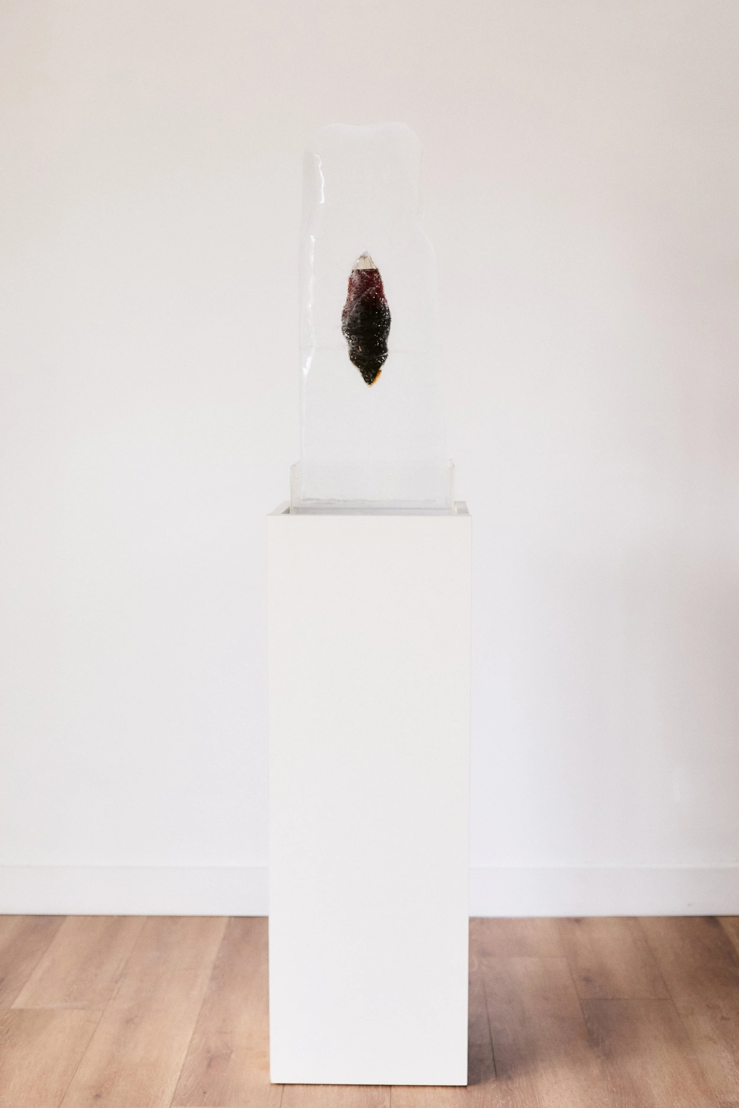 El núcleo de lo múltiple, 2025 // Ephemeral ice sculpture with a blown glass core and natural dyes from native plants of northern Argentina (Berberis mikuna and Creole walnut) // 50 x 30 x 30 cm
