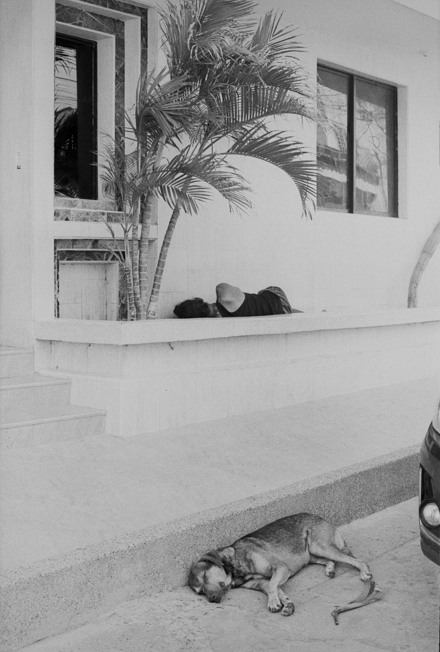 sueño de calle.jpg