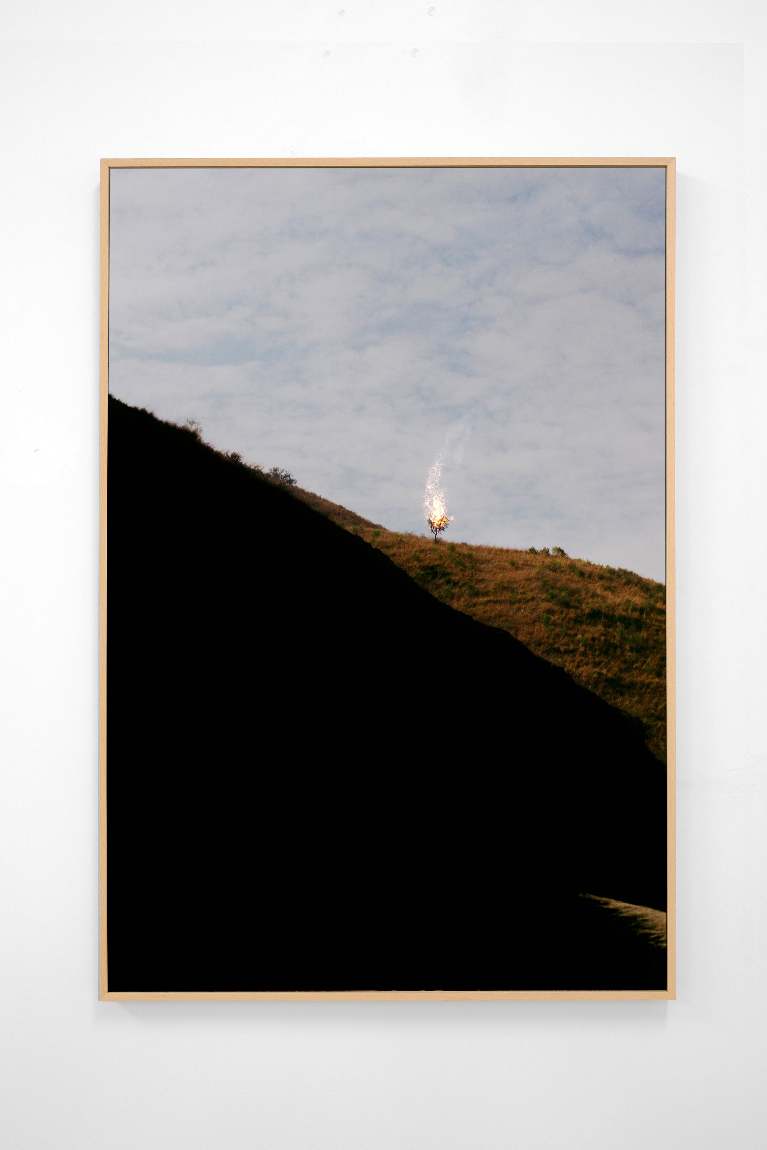Burning Bush, 2019 //Print on Hahnemühle Matt Fibre paper // 100x67 cm