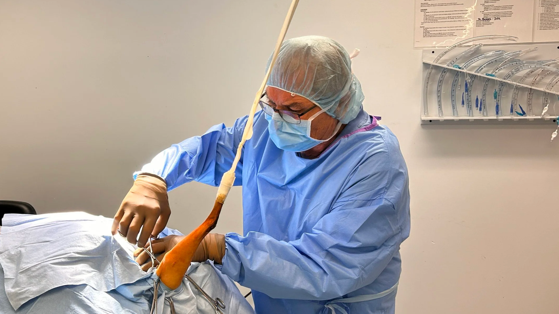 Medical professional in scrubs, mask, and protective cap performing a procedure in a clinical setting.