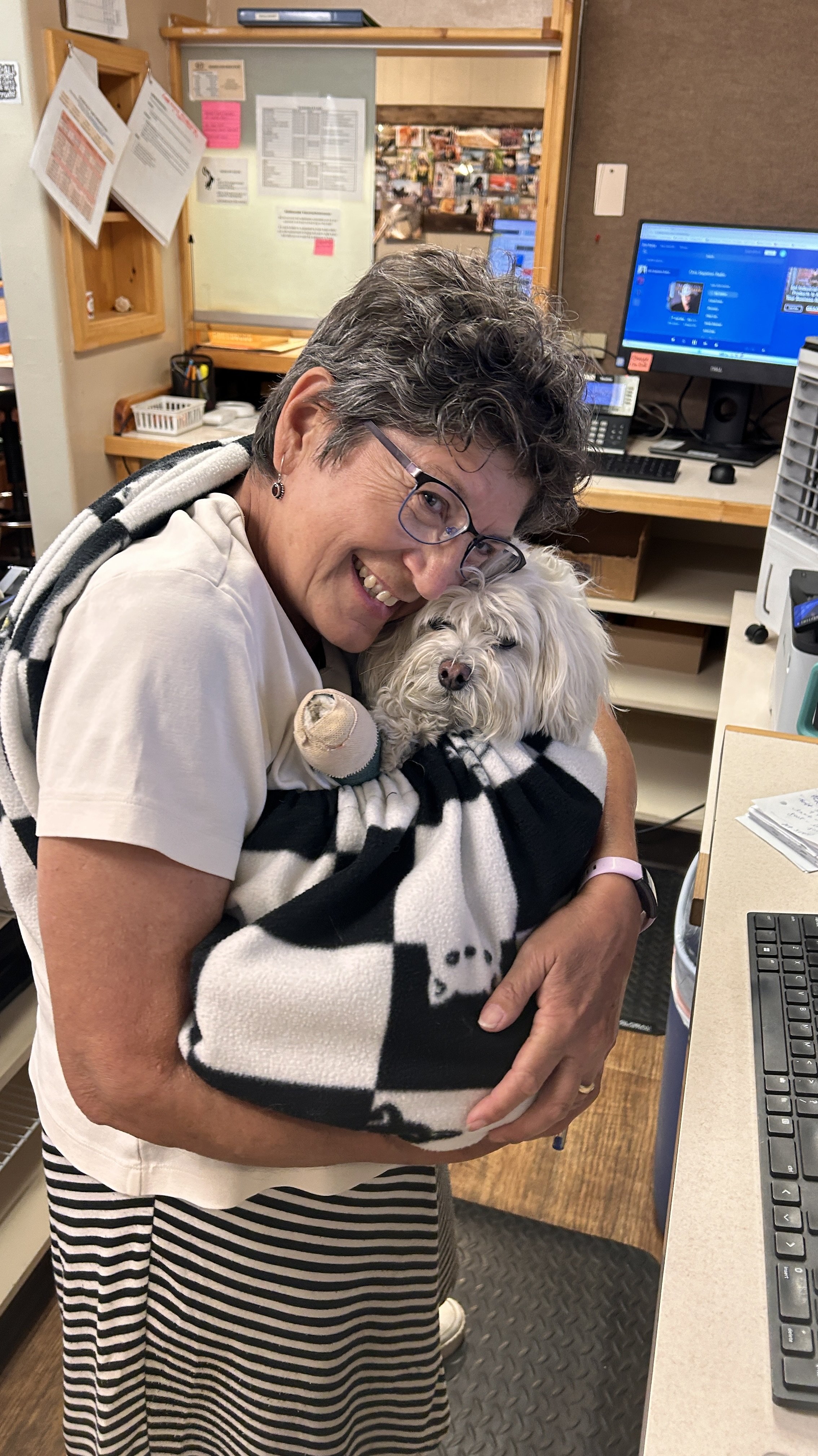 A woman with short gray hair, glasses, and earrings hugging a small, white, fluffy dog wrapped in a black and white blanket in an office setting.