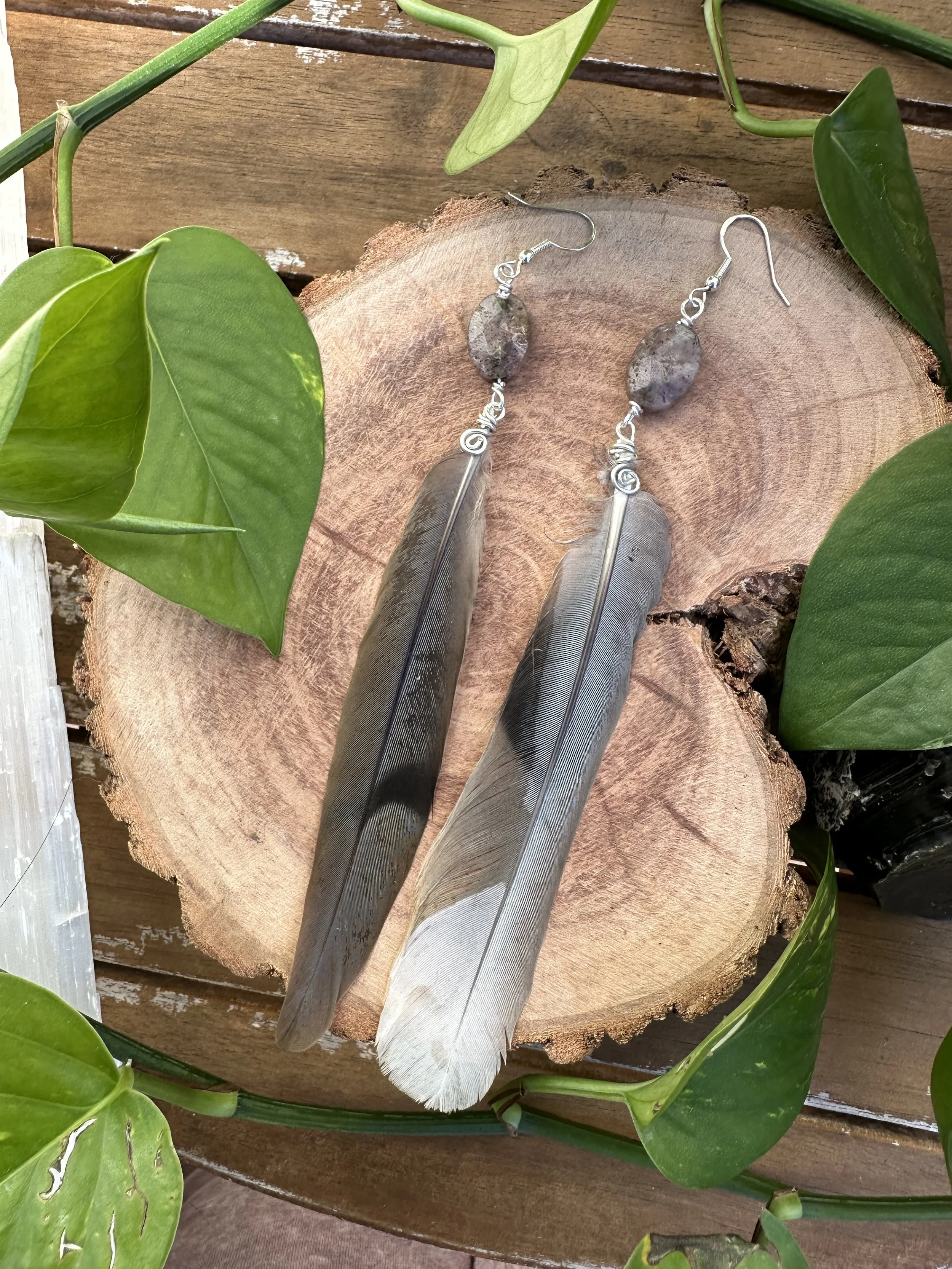 IMG_1496.jpeg (Copy)