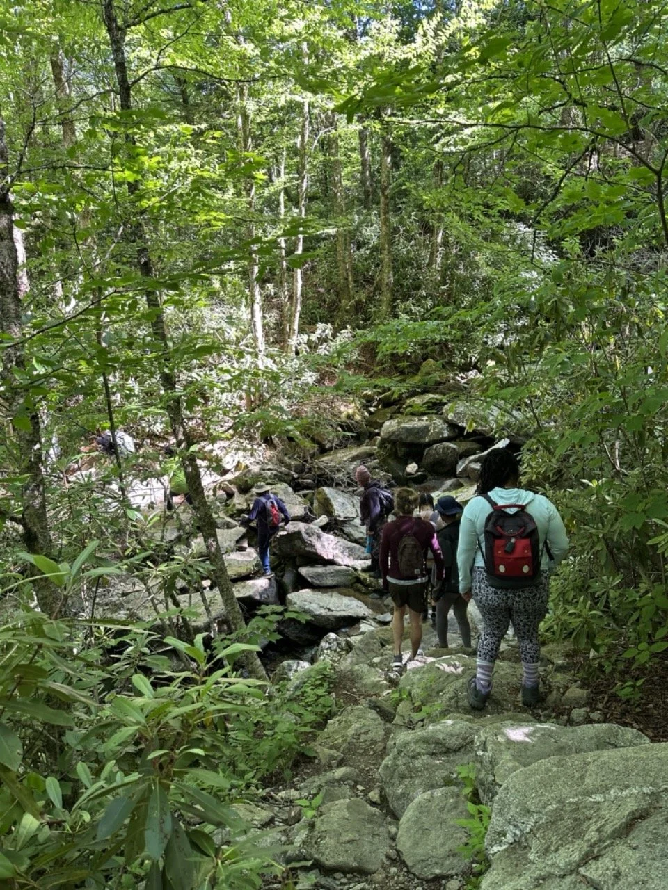 The Medicine of Your Voice