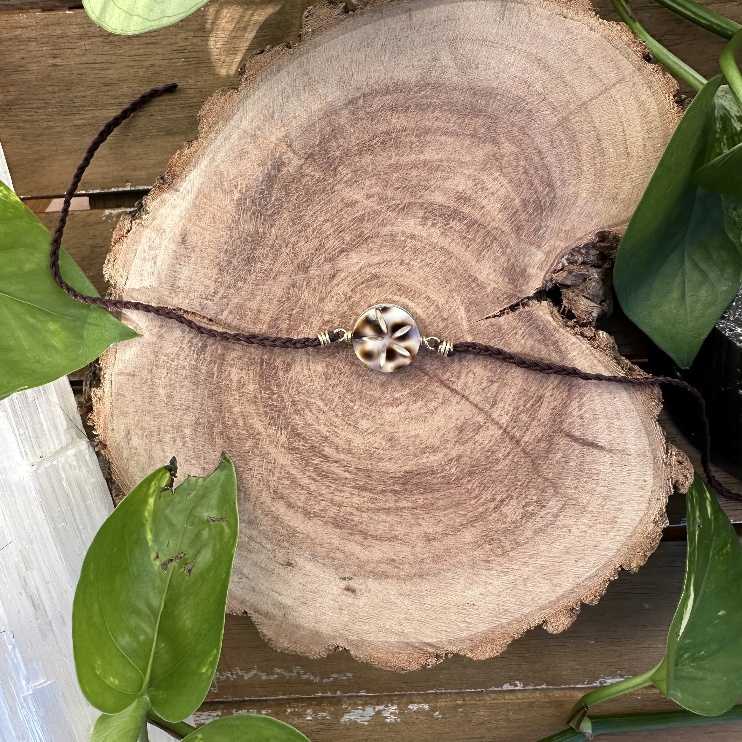 IMG_1517.jpeg (Copy)