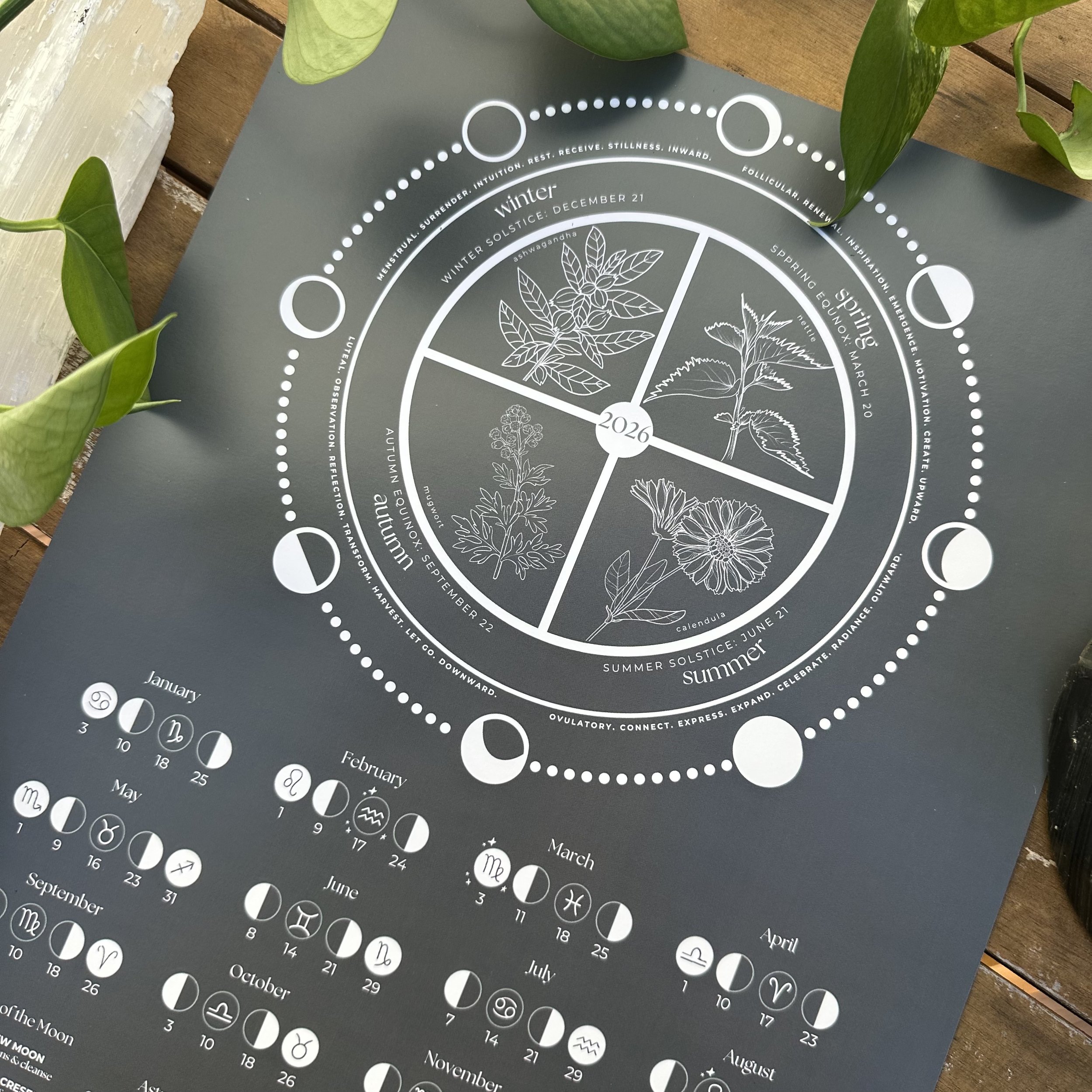 IMG_1492.jpeg (Copy)