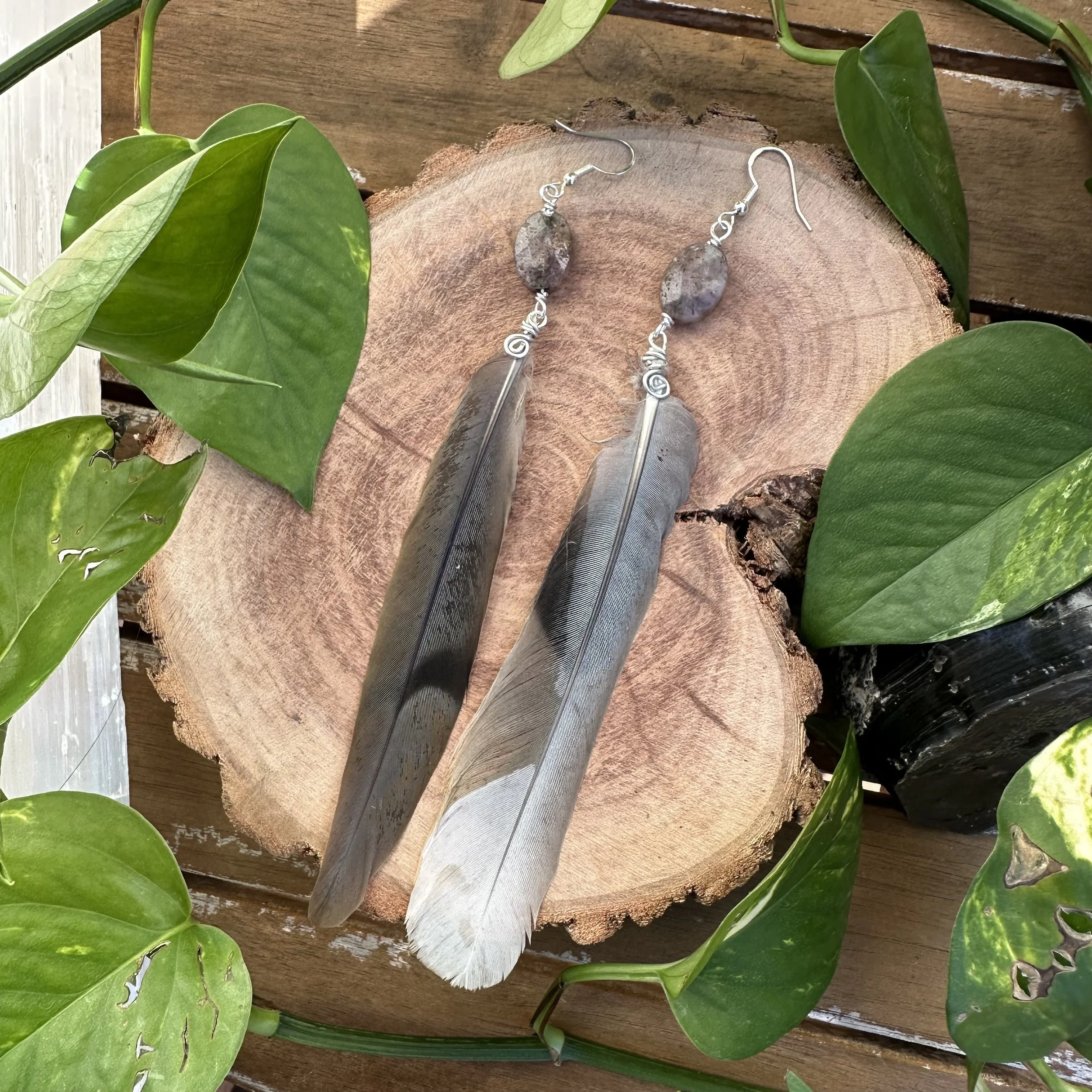 IMG_1500.jpeg (Copy)