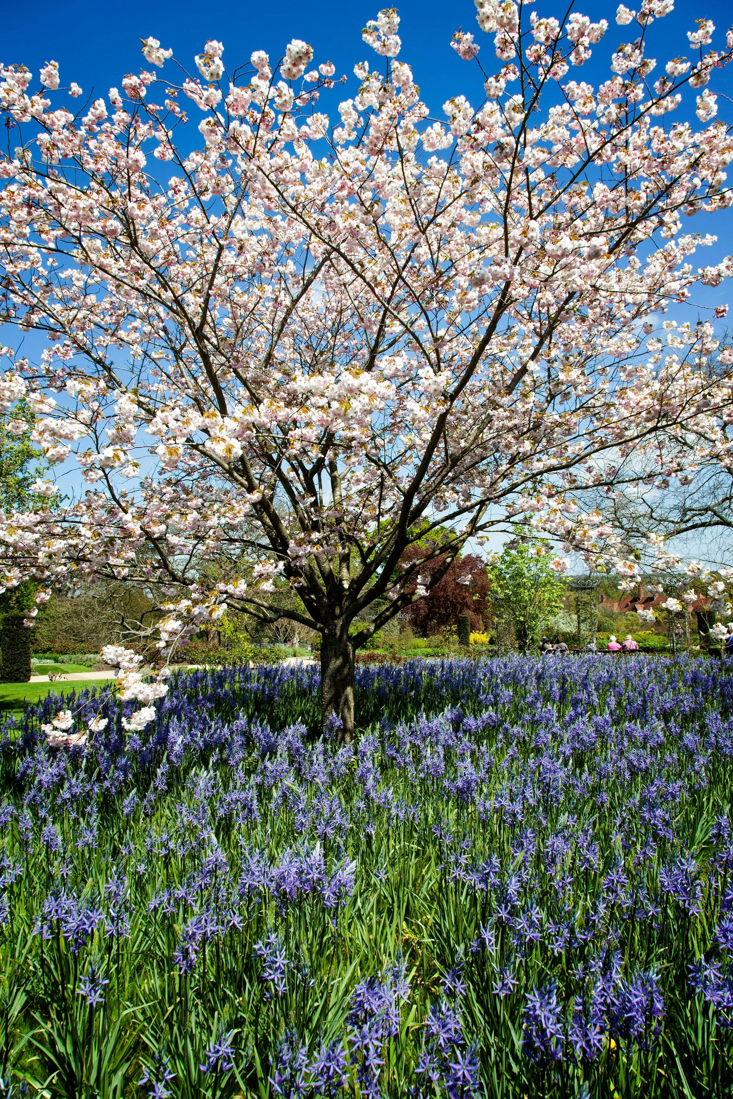 Spring Bulletin 2026