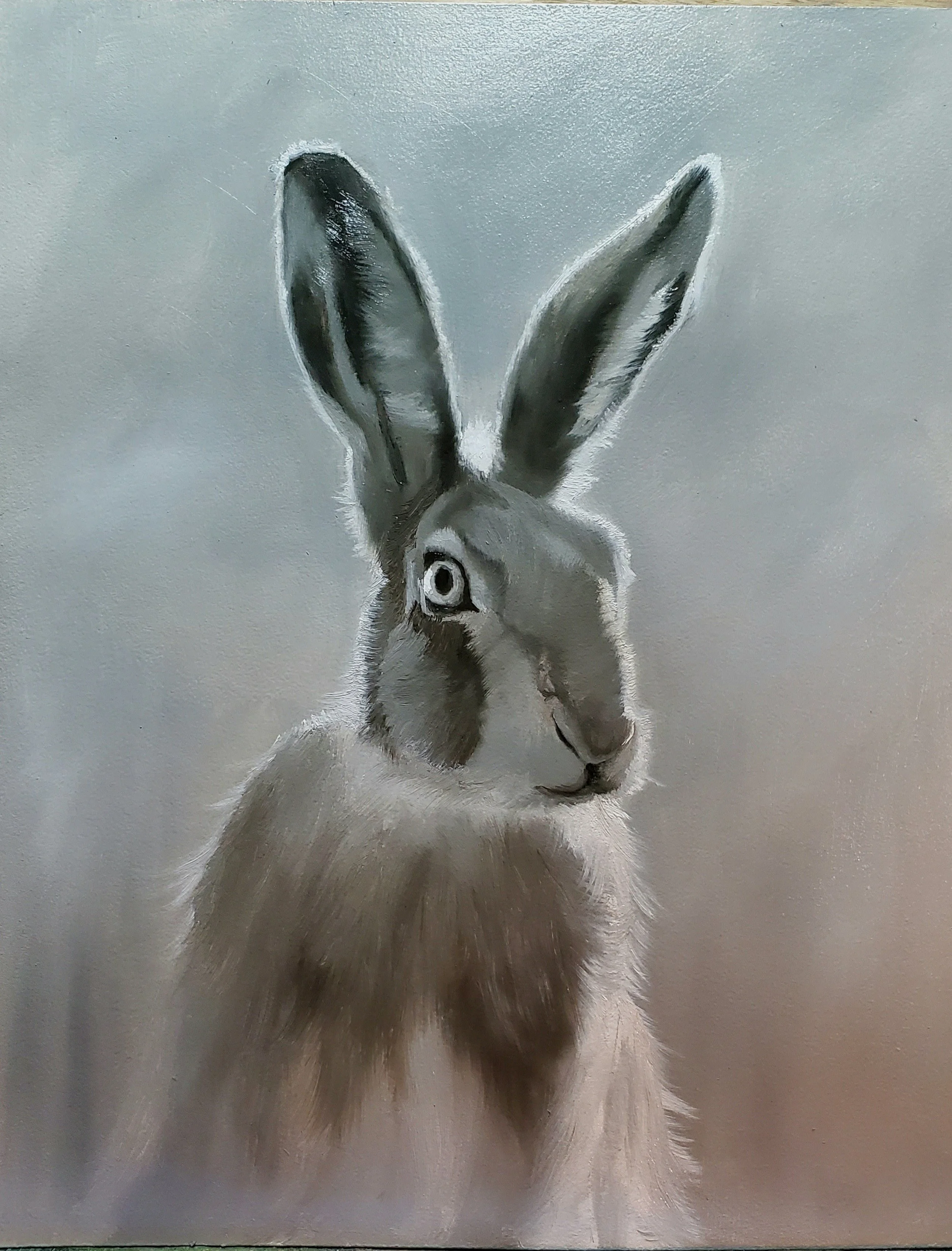 Hare Brained Idea, Oil on Panel, 11x14, Available