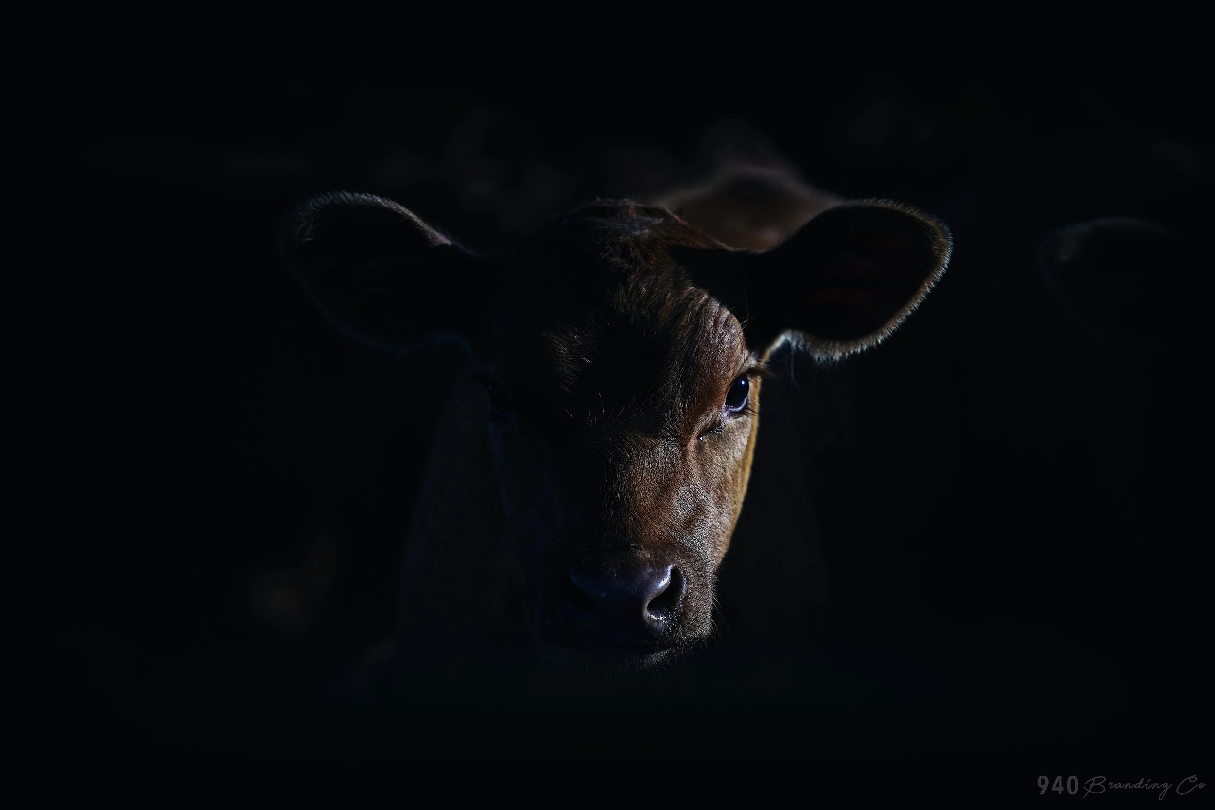 2021-07-02 15.03.49-1.jpg