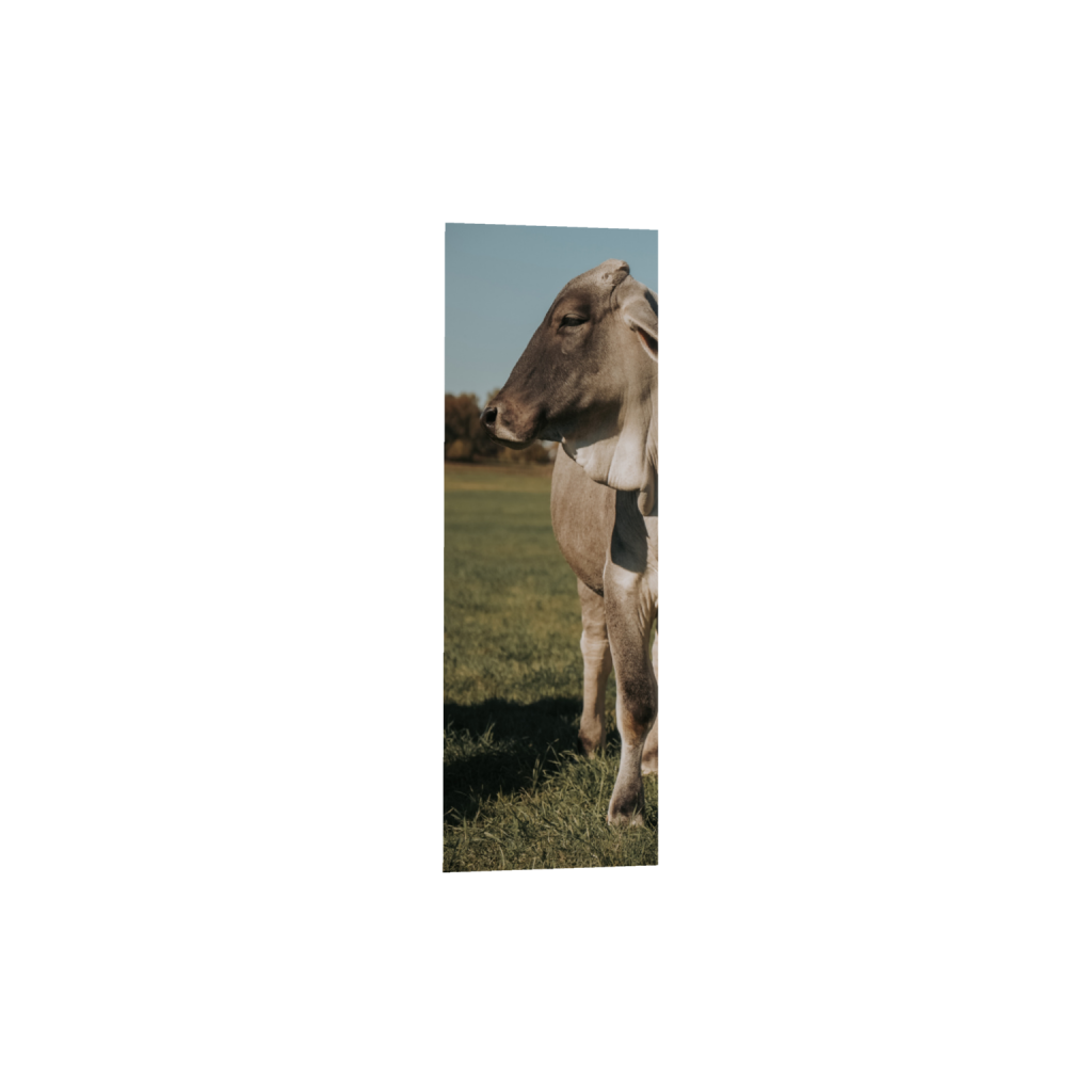 ptq_1_2_39_0_1312_3936_0_false_ffffff_0_0_.png