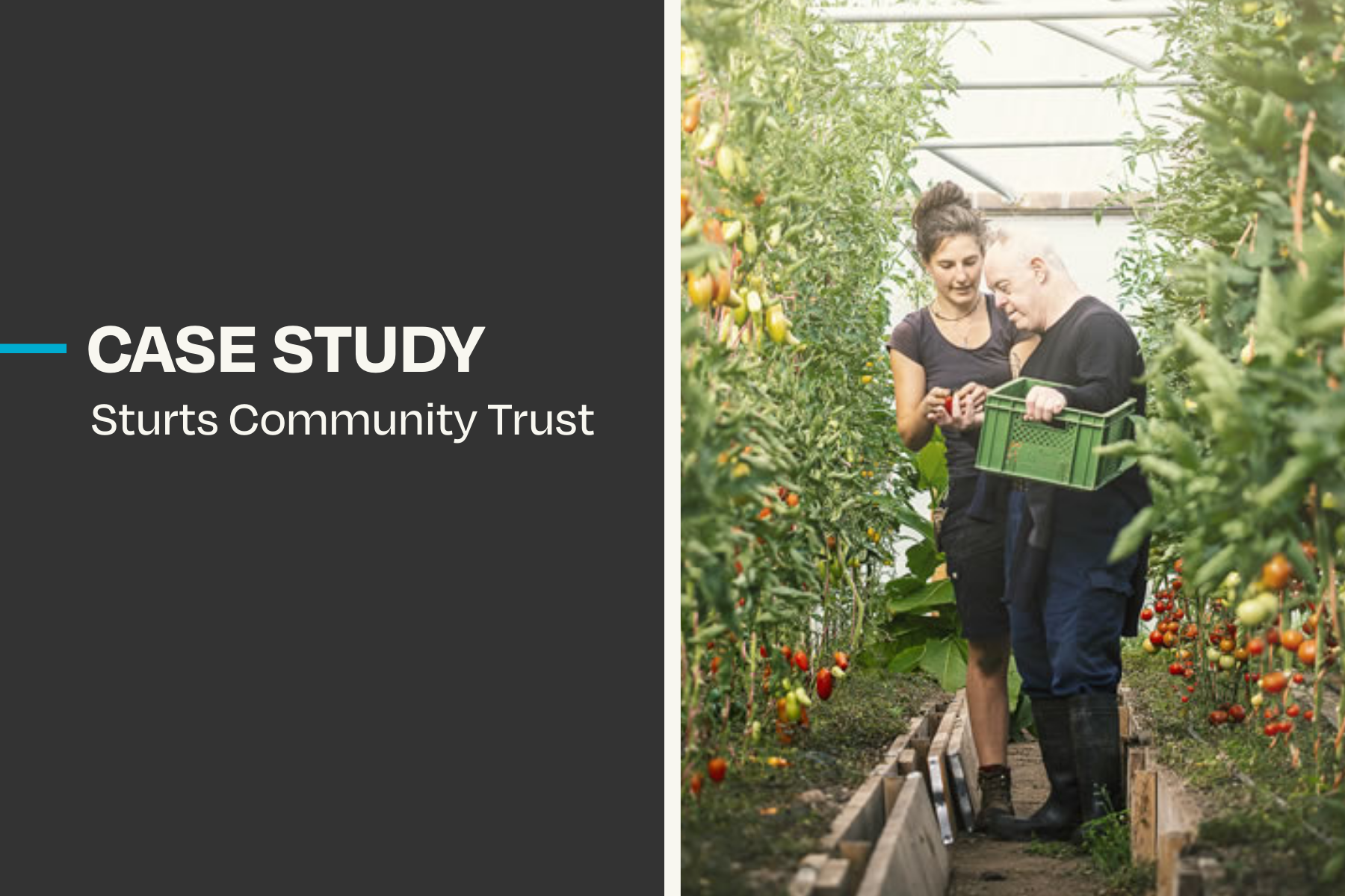 Case Study: Sturts Community Trust