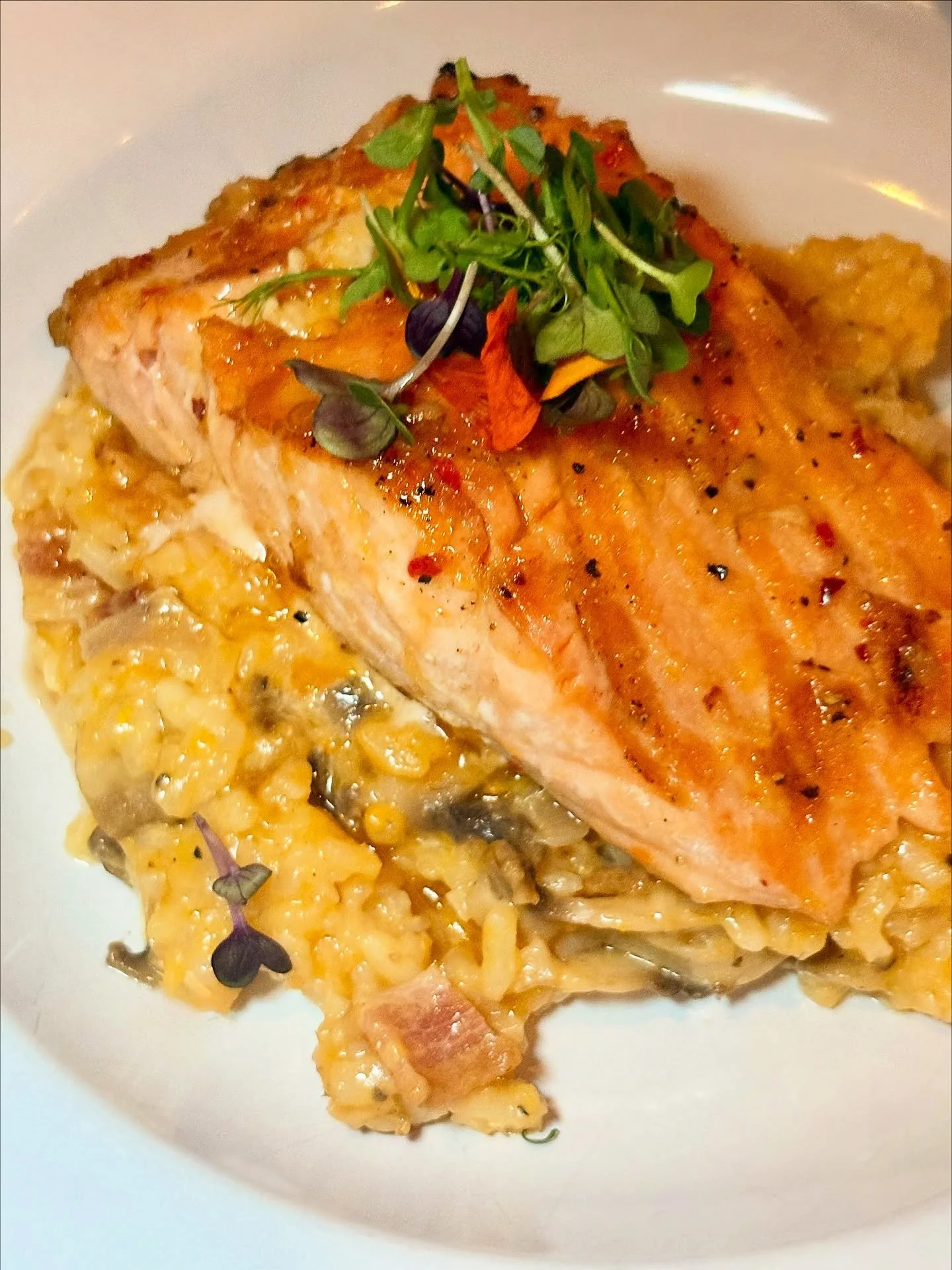 Our fresh new seasonal dishes are officially here and already selling like crazy🤌
From our Honey Garlic Glazed Salmon, Blue Cheese Crusted Petite Filet, to our Tuscan Rigatoni there are plenty of flavors to keep you warm this holiday season🎄✨
.
.
#