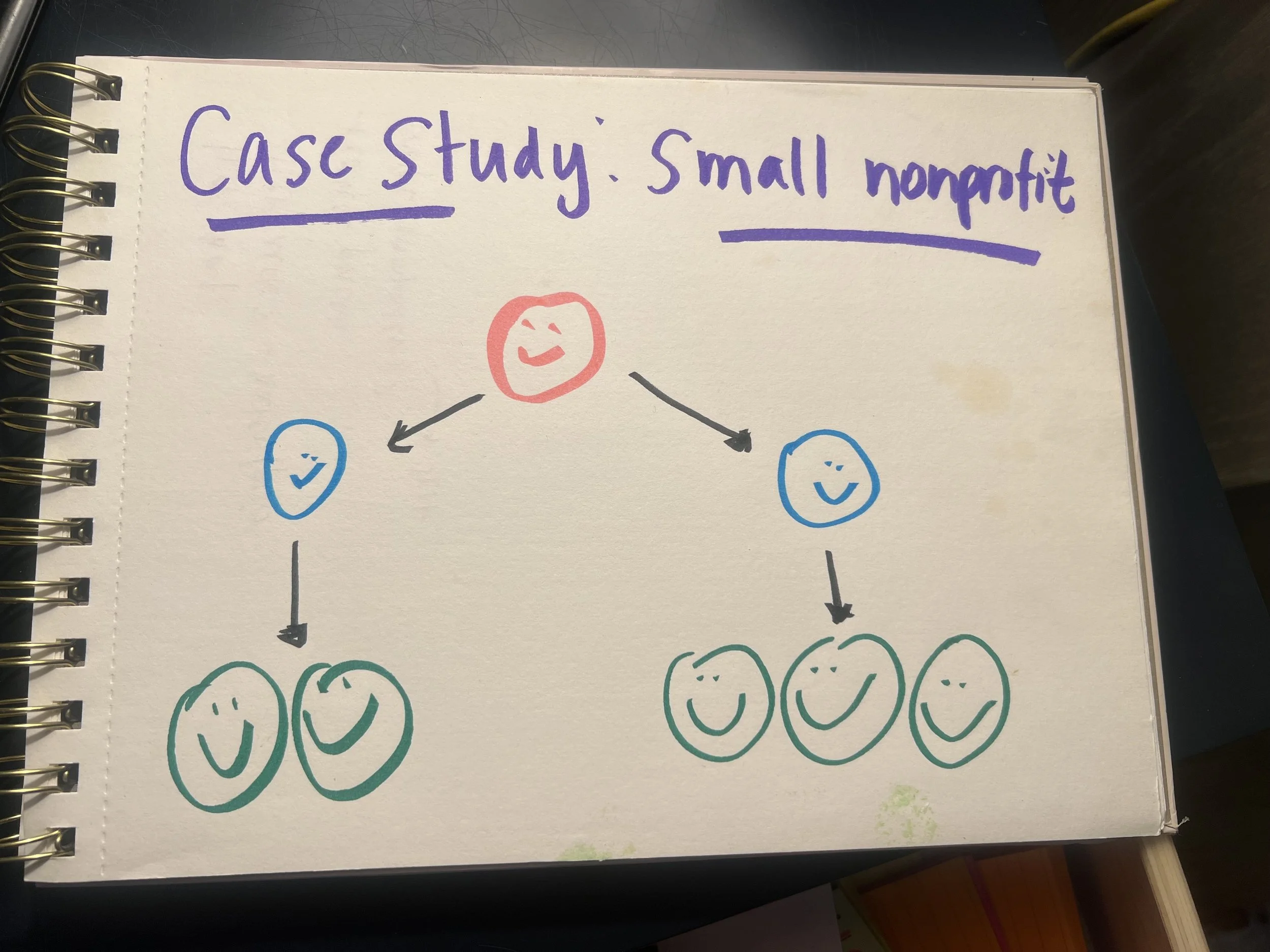 Why Leading Through Layers Is Hard: A Small Nonprofit Case