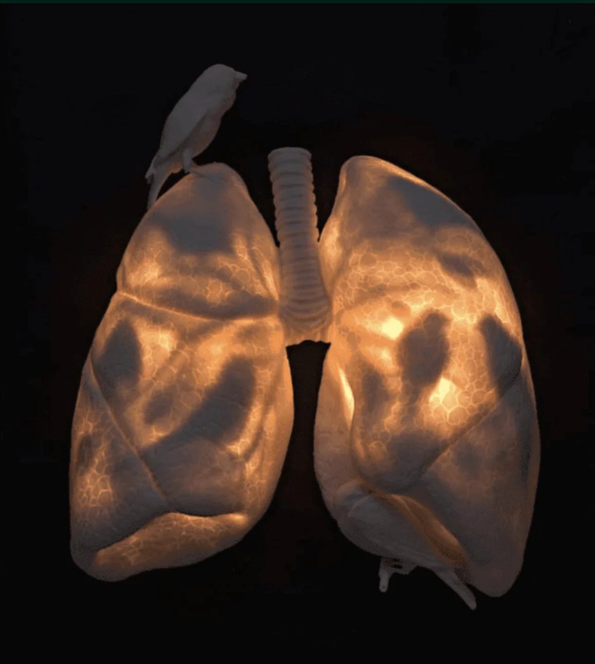 World made with Breath - online kurssi (englanniksi)