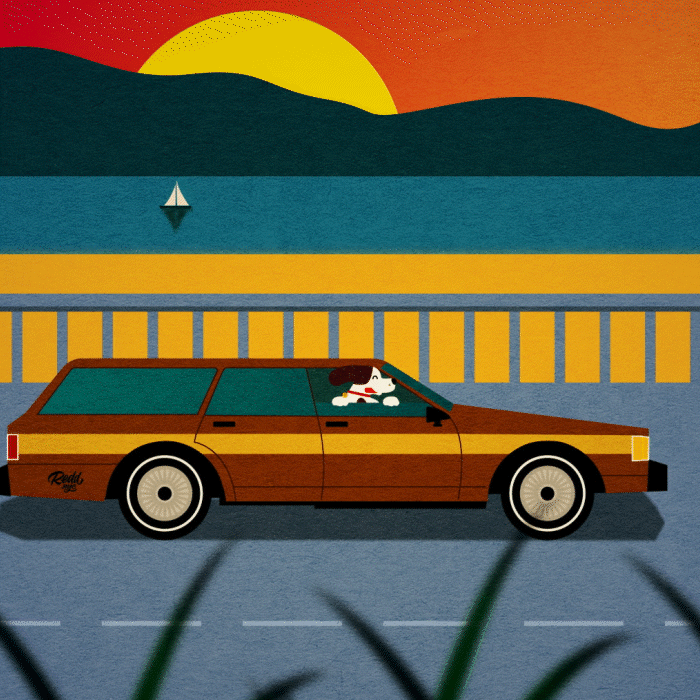 DogInCar_square.gif