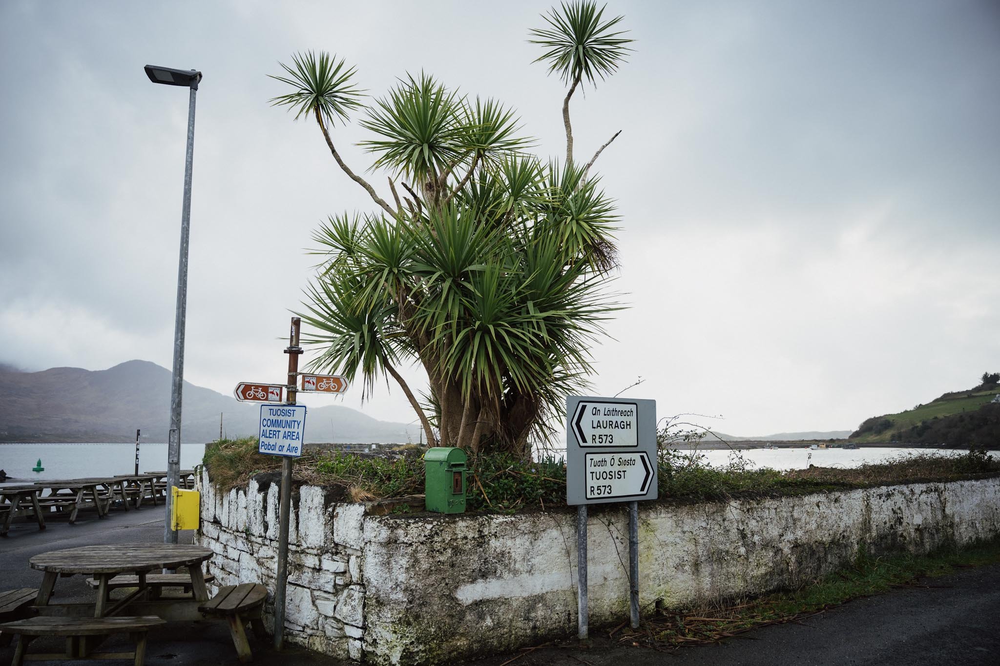 A coastal road scene in Kilmakilloge featuring a cluster of palm trees and directional signs for Lauragh and Tuosist, with wooden picnic tables and a quiet bay in the background.