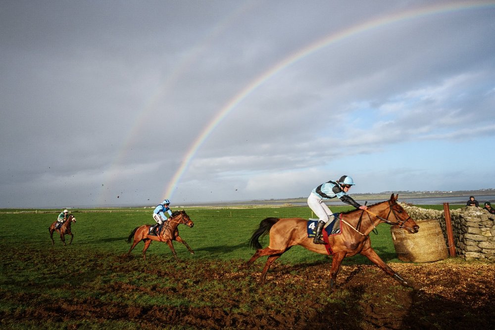 Horse Racing Ireland Bellharbour