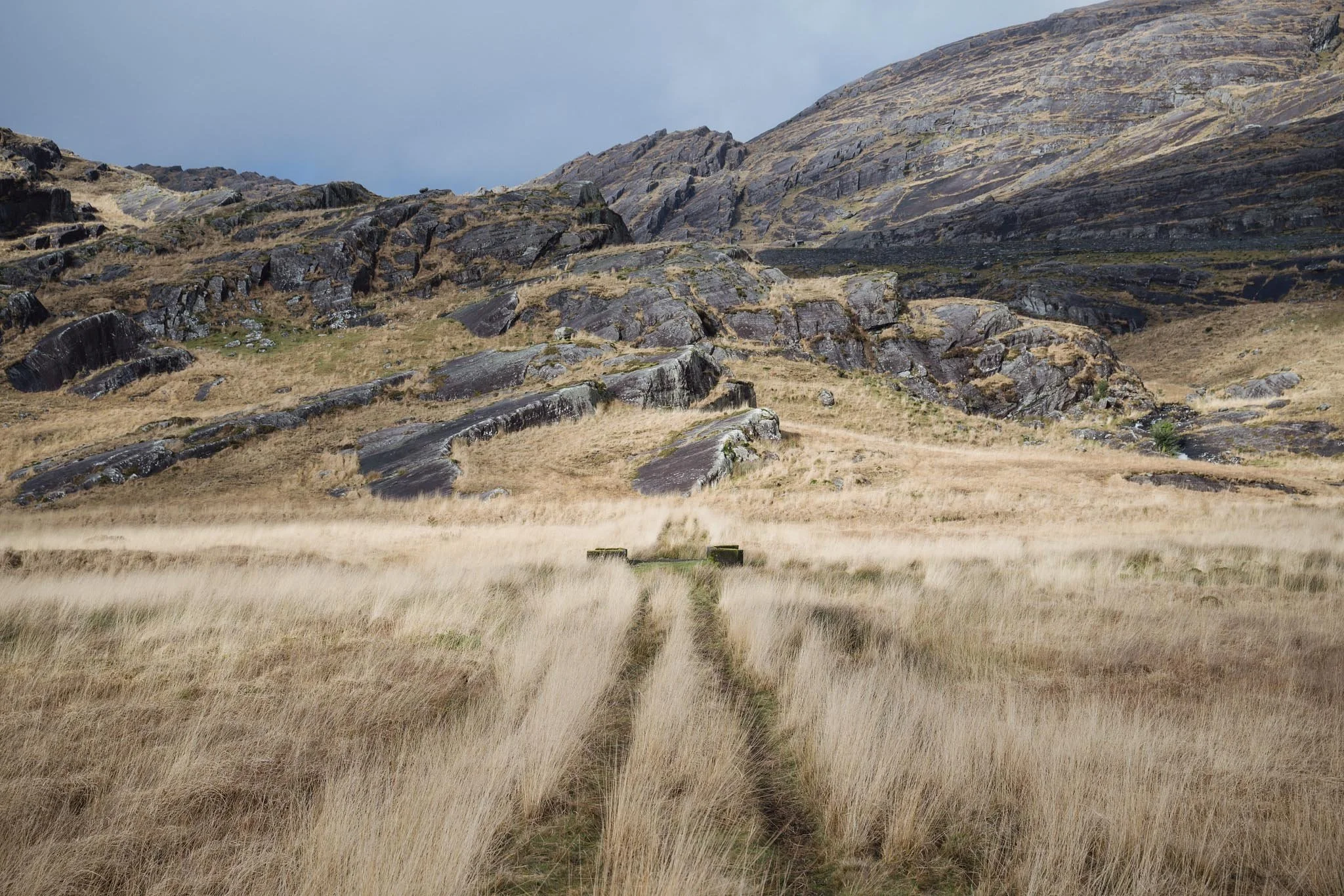 A view looking down two faint tire tracks through tall, blonde mountain grass toward a rocky, steep hillside at Inchintaglin. The dark, jagged rock formations of the mountain contrast with the soft textures of the winter grass.