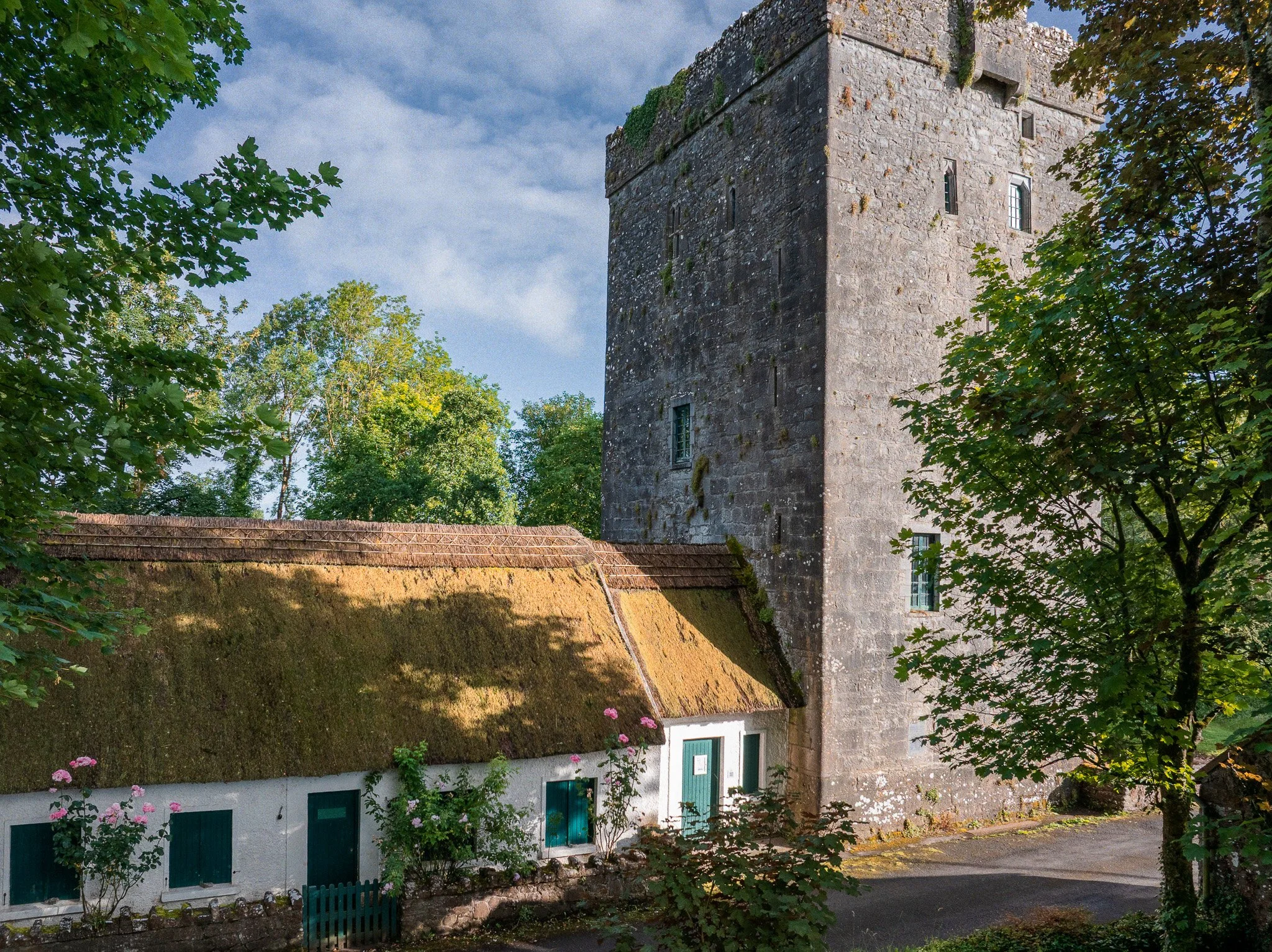 Thatched cottage with green doors and pink roses beside the stone Yeats tower at Thoor Ballylee, near Gort, County Galway.