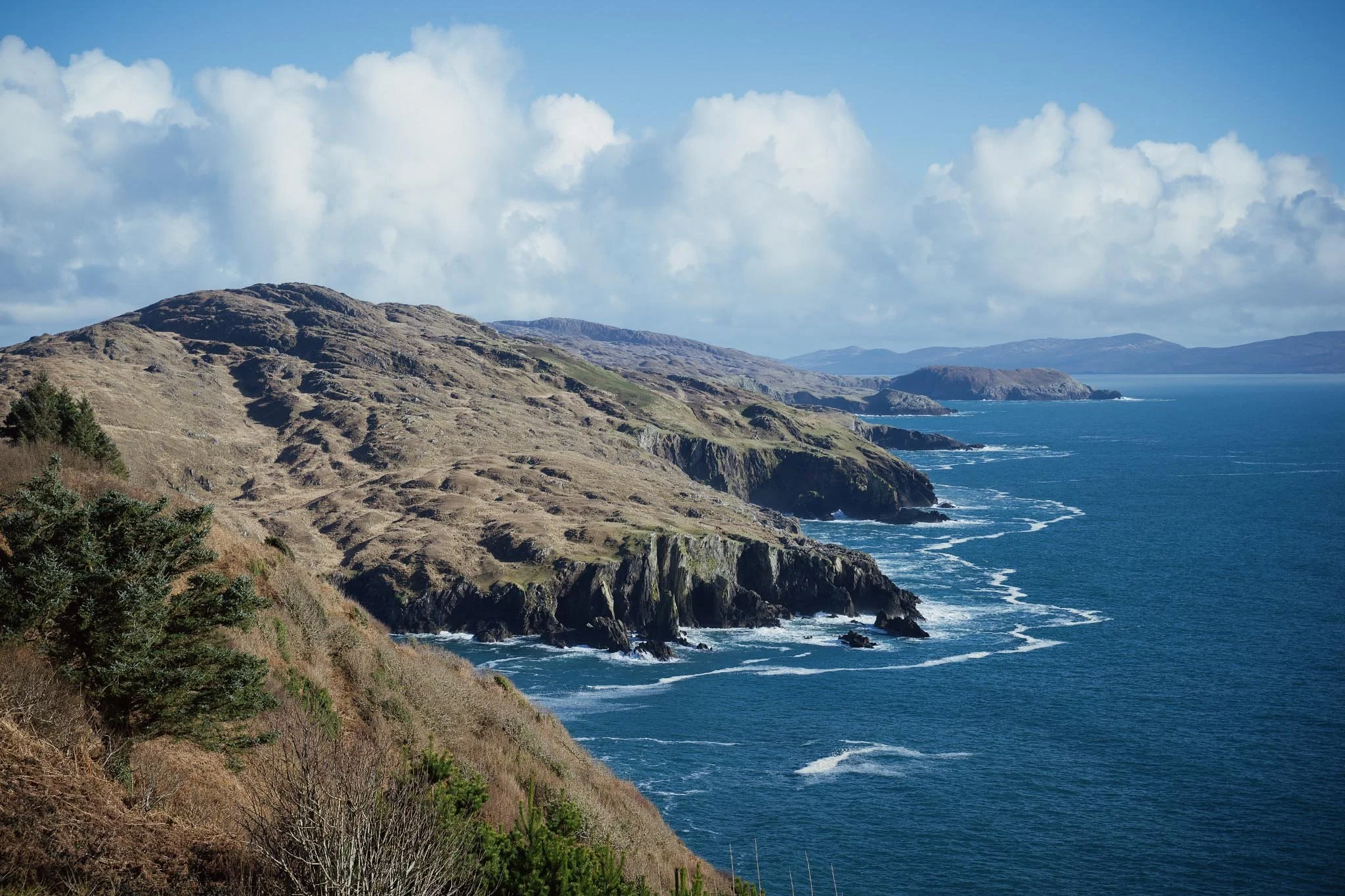 A wide landscape view of the rugged, brownish-green cliffs of the Beara Peninsula meeting the deep blue Atlantic Ocean under a bright sky with fluffy white clouds.