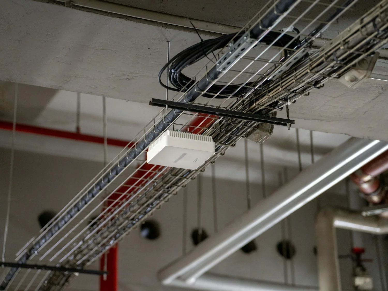 Wireless access point mounted on a ceiling cable tray