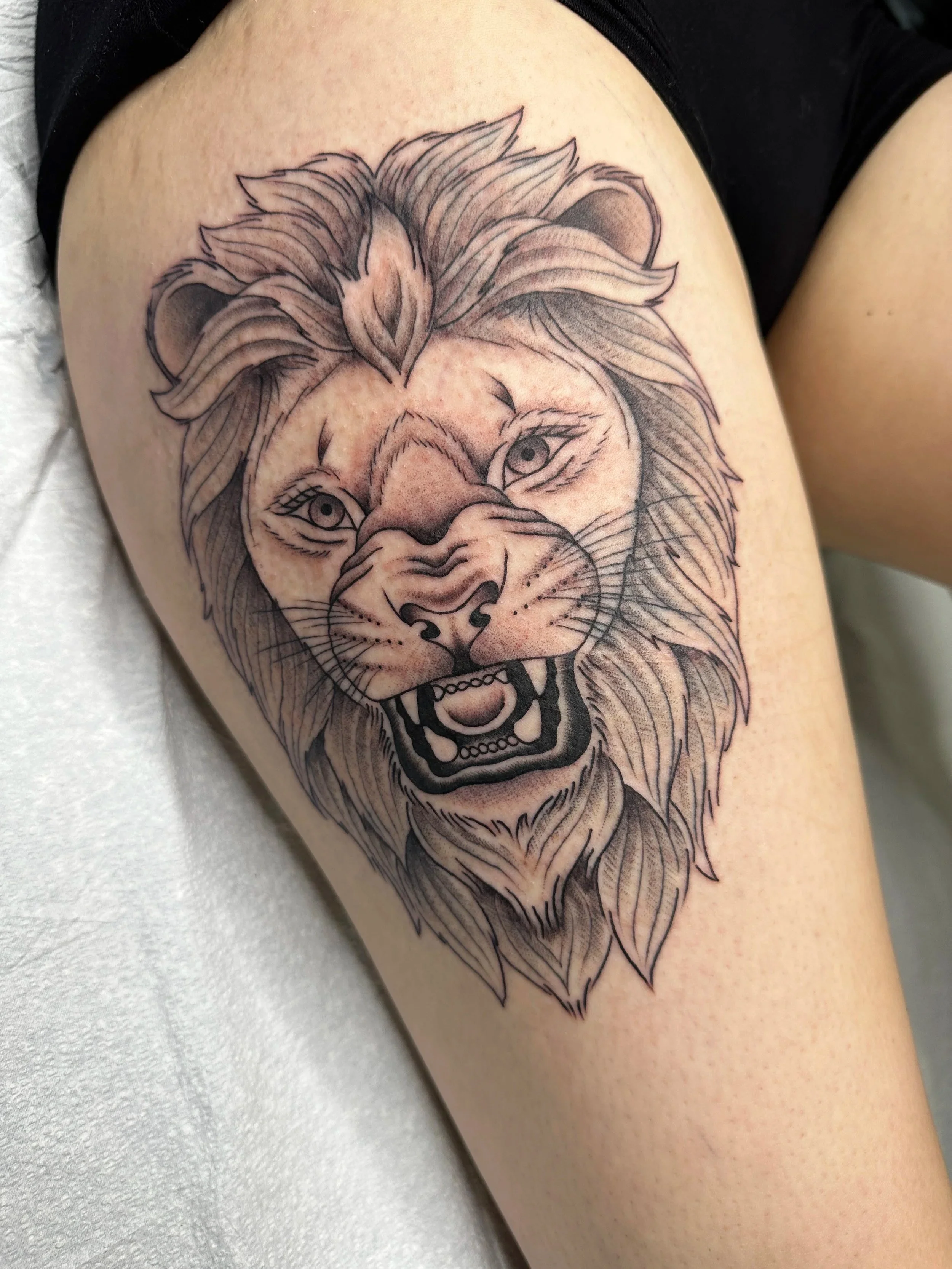 Nice big fine line feline. I love this image. Big cat heads are hard to draw, and harder to tattoo especially with all that hair.