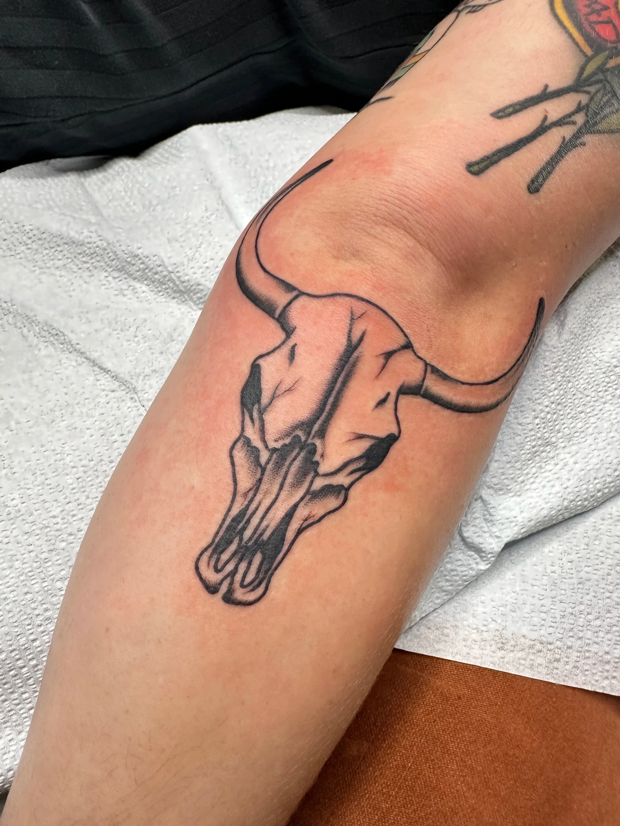 Cow skulls are a staple out here in Tucson, so it makes sense that I make a lot of them. This is simple and straight to the point.