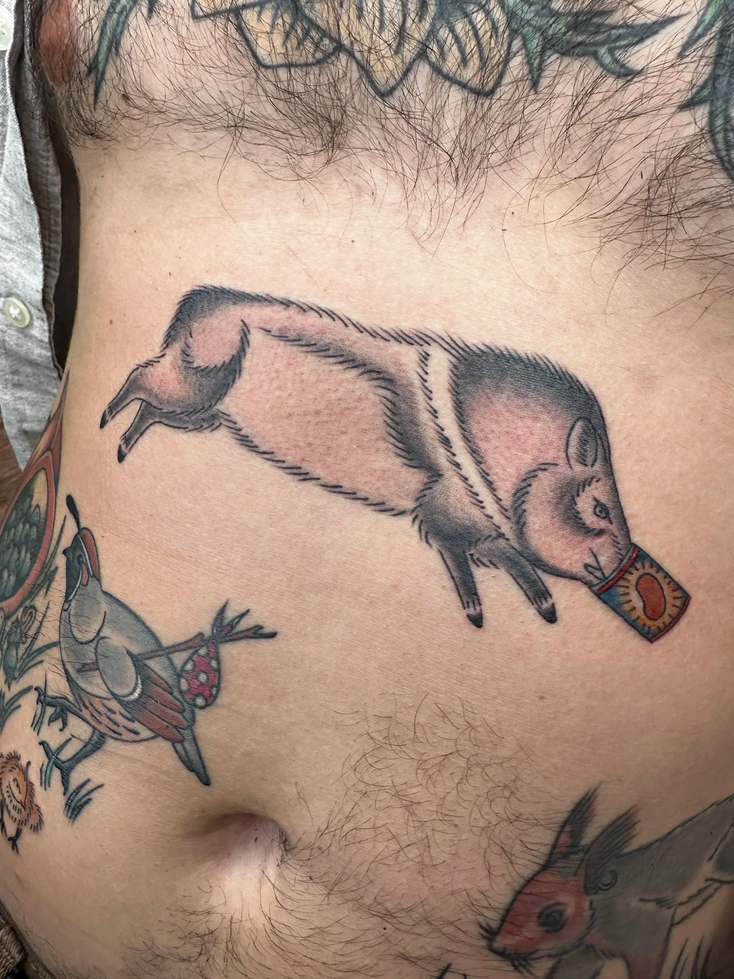 Tucson is filled with these strange creatures called Javalina. They look like pigs, but they’re really peccaries which is a type of rodent. Crazy, right?? This one has a bean can stuck on his mouth because they love trash.