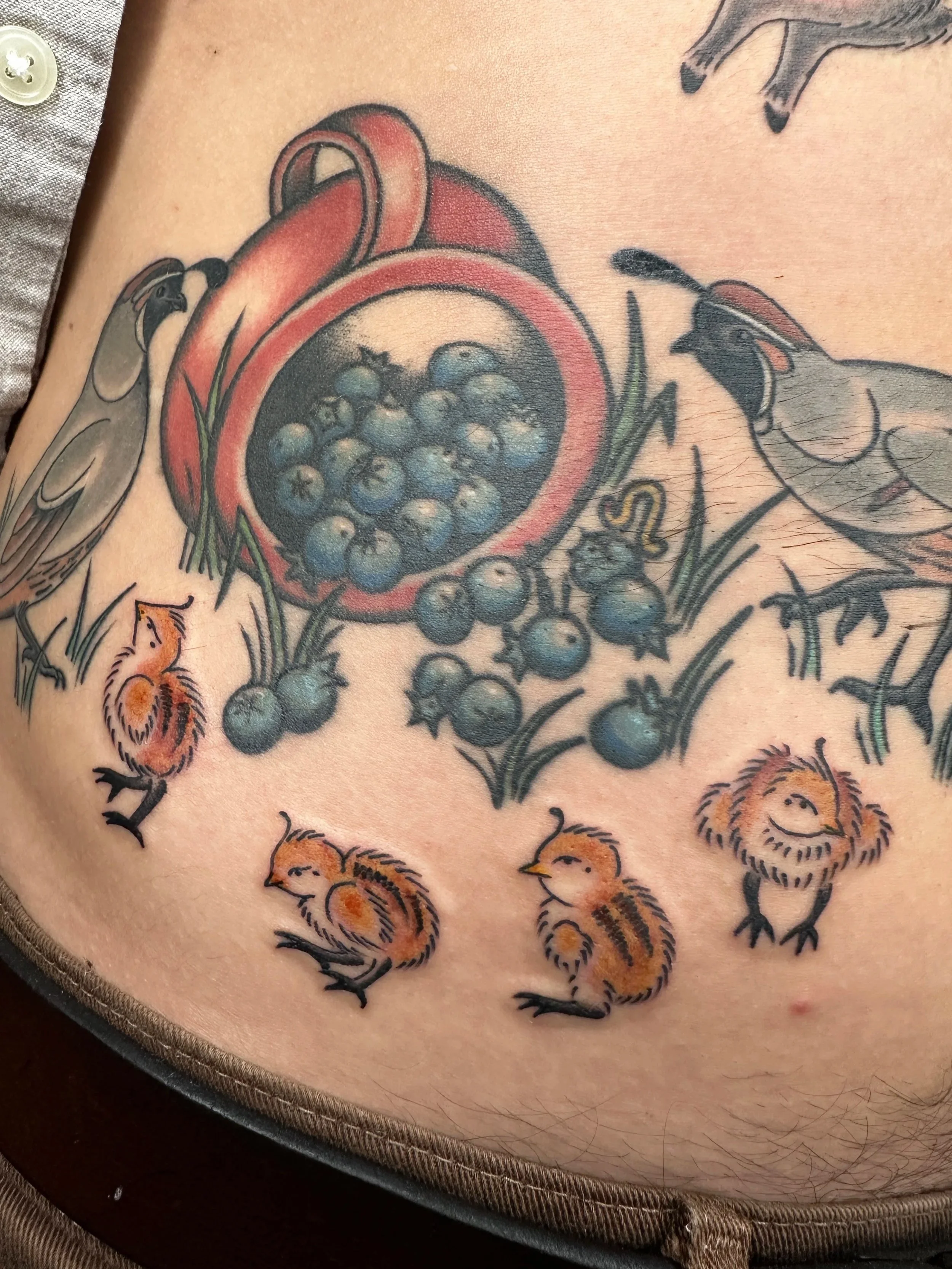 My funny client wanted a “delicious bowl of blueberries” and the quail and little quail chicks came not too long after. Each tattoo this client gets is pretty silly and his text messages to me explaining what he wants always make me laugh.