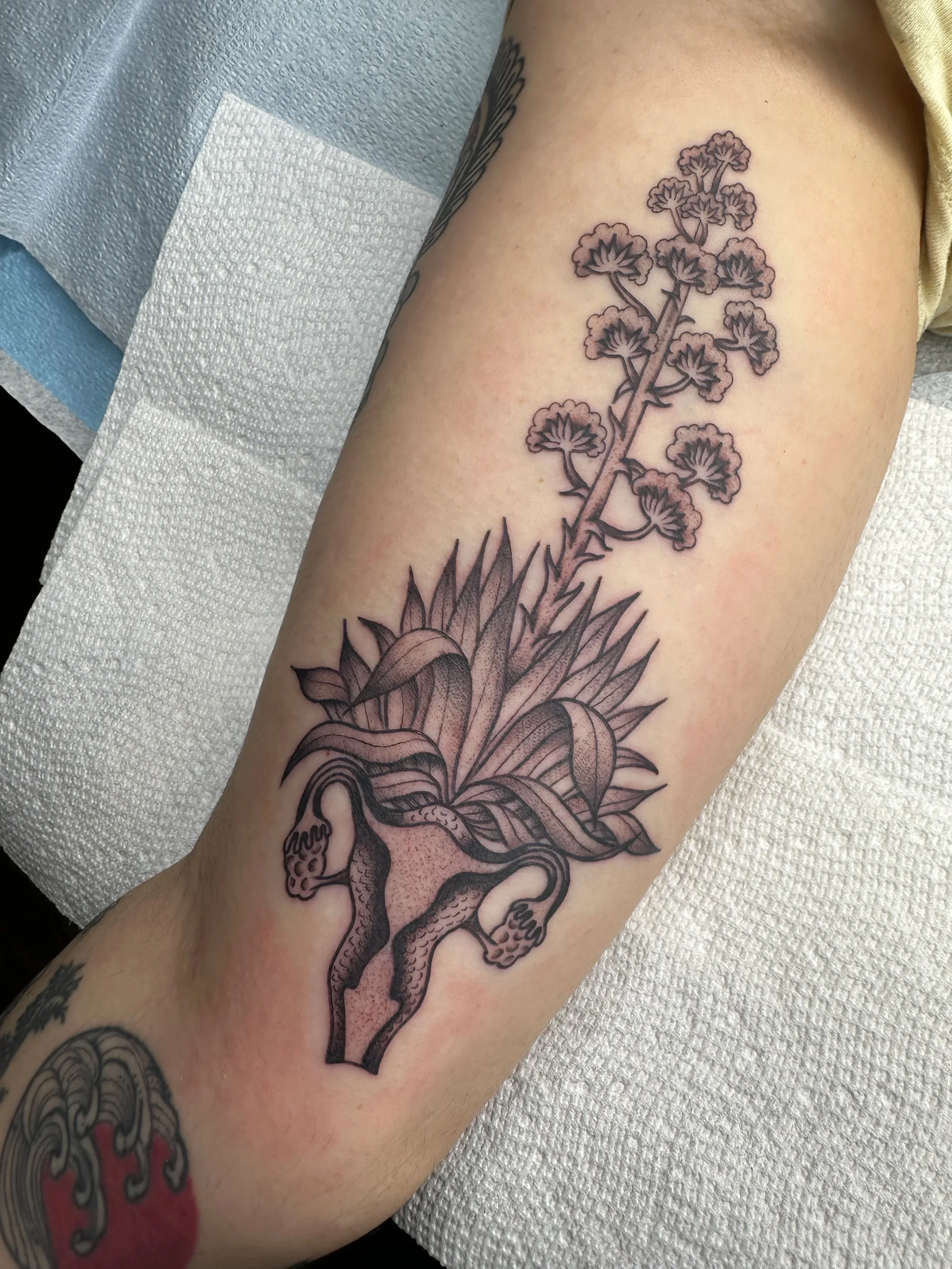 This is for one of my Doula clients. It’s an agave growing out of a uterus which is such a neat concept. So, I bought a new black pigment which I used for the first time on this tattoo and it ended up being GREY. Like not even solid black (although t