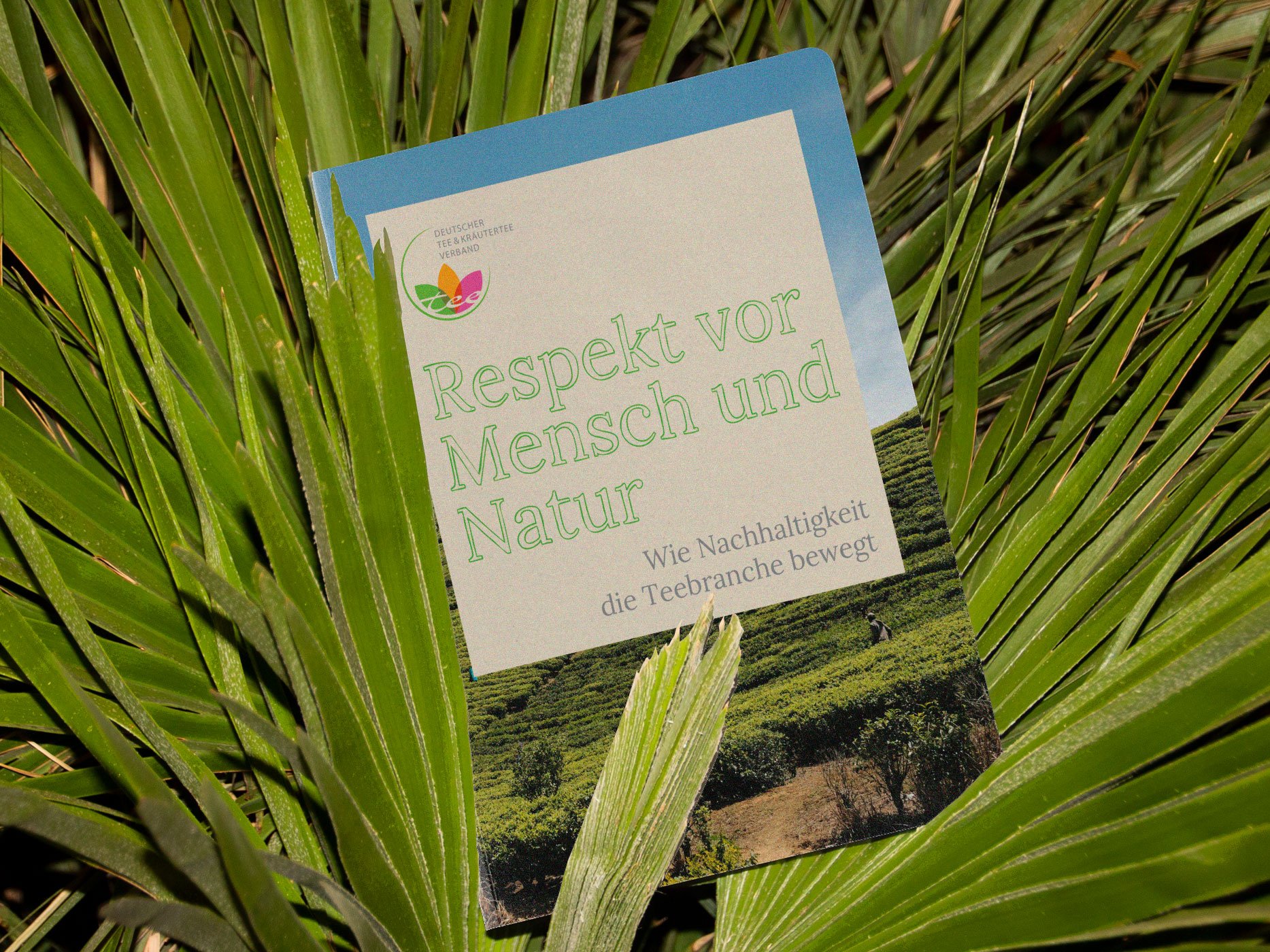 Cover_DTKV_Nachhaltigkeitsbericht.jpg