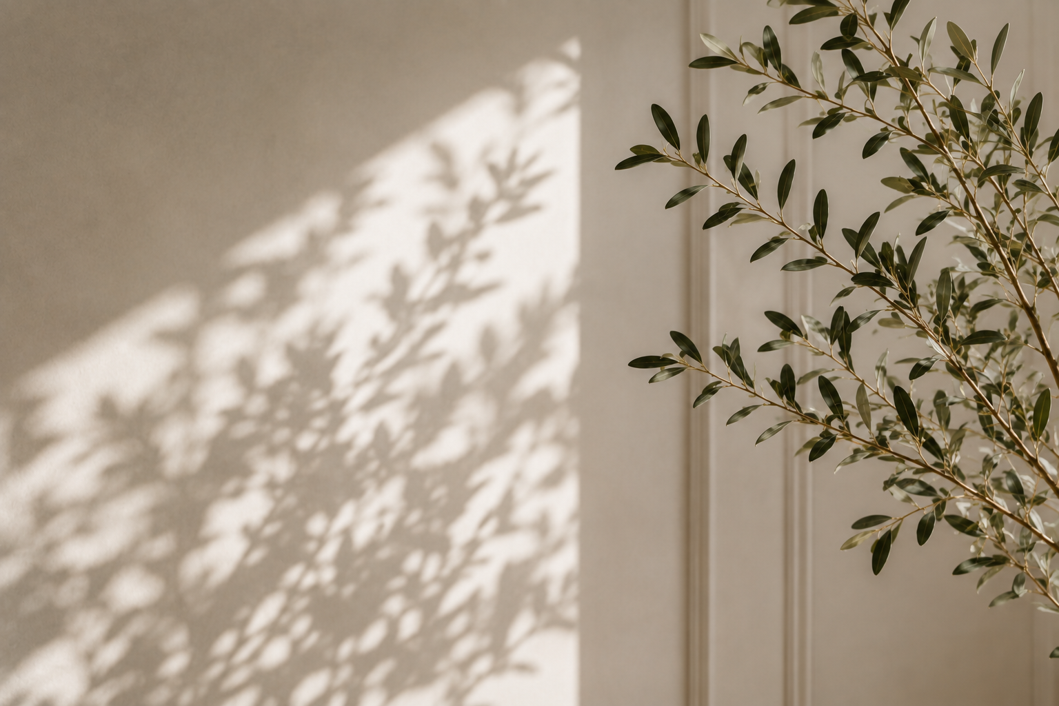 Sunlight casting a shadow of green leafy plant on a wall.
