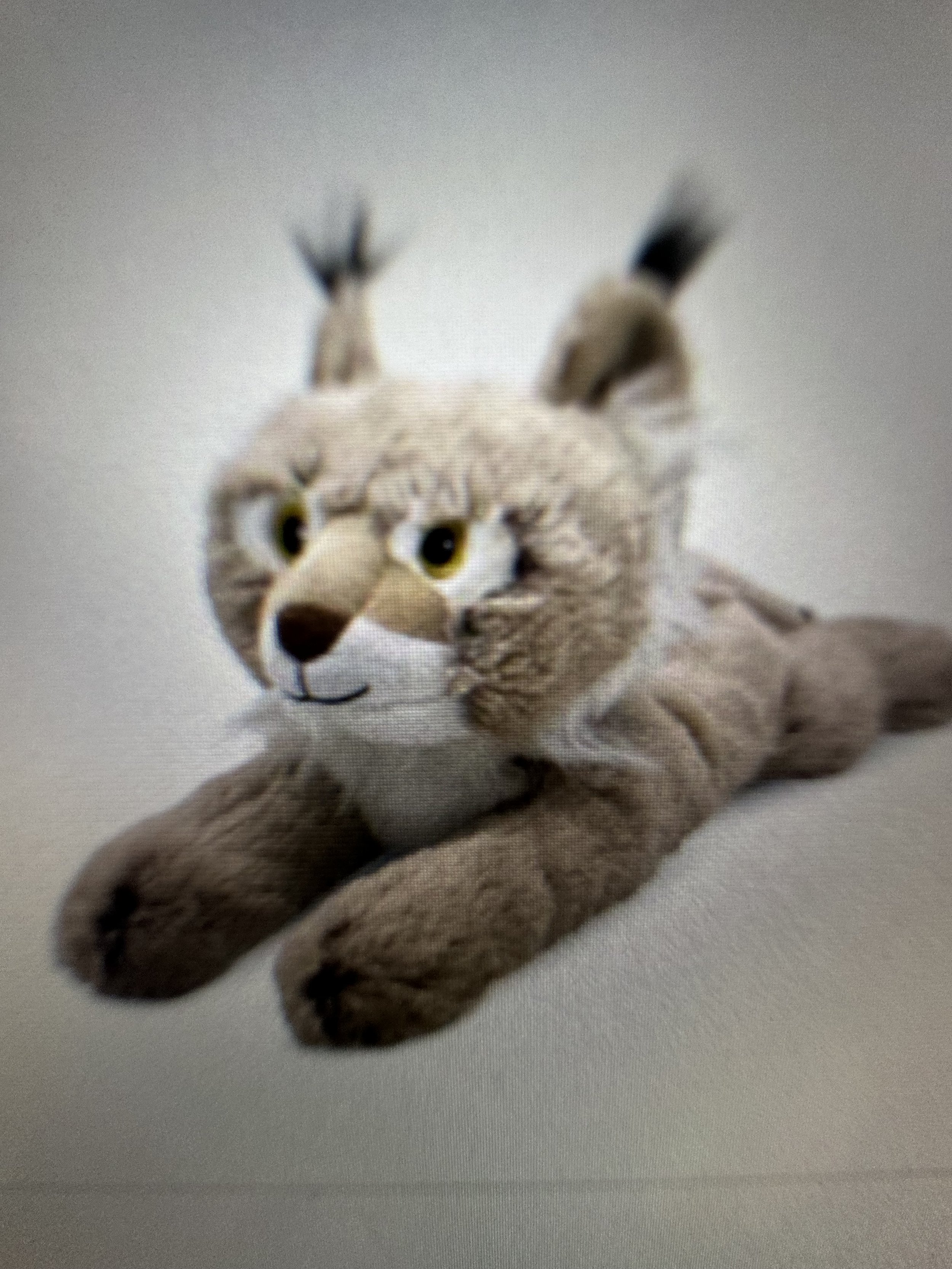 Bobcat.jpg