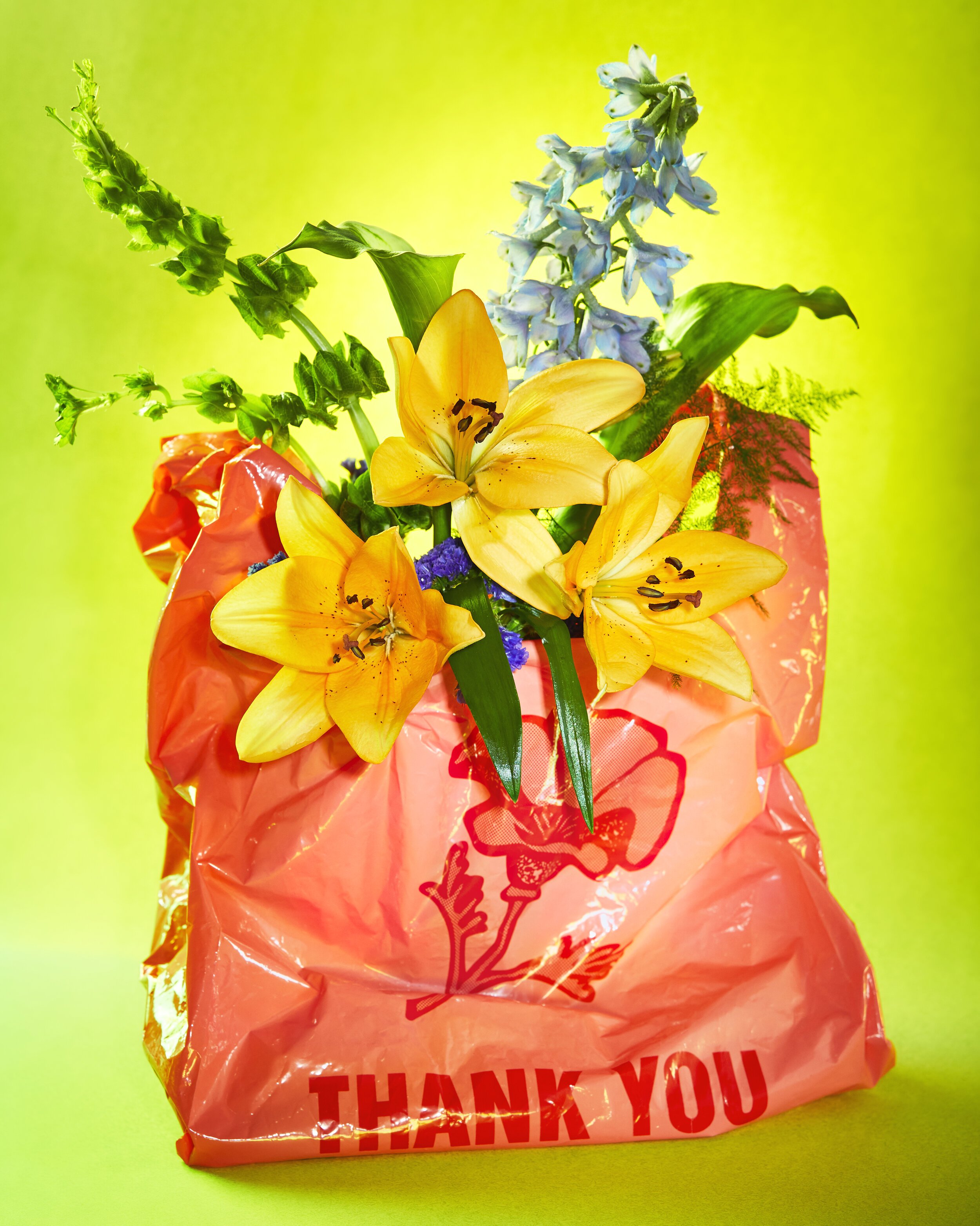 190202_still_life_test2_look3_edit.jpg