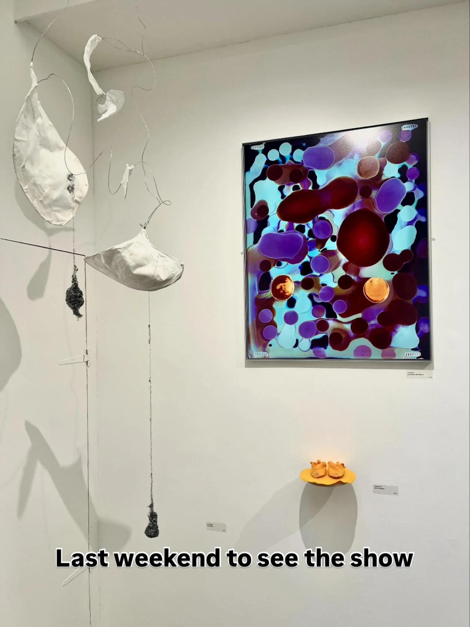 Last weekend to see the London Group Open 2025 @thelondongroup @thecopelandgallery.

Copeland Gallery, Copeland Park, 133 Rye Lane, Peckham, SE15 4ST
🗓 November 8 &ndash; 23
🕤 Open daily 11am &ndash; 5pm
Open till 7pm tomorrow (Friday) evening.

#t